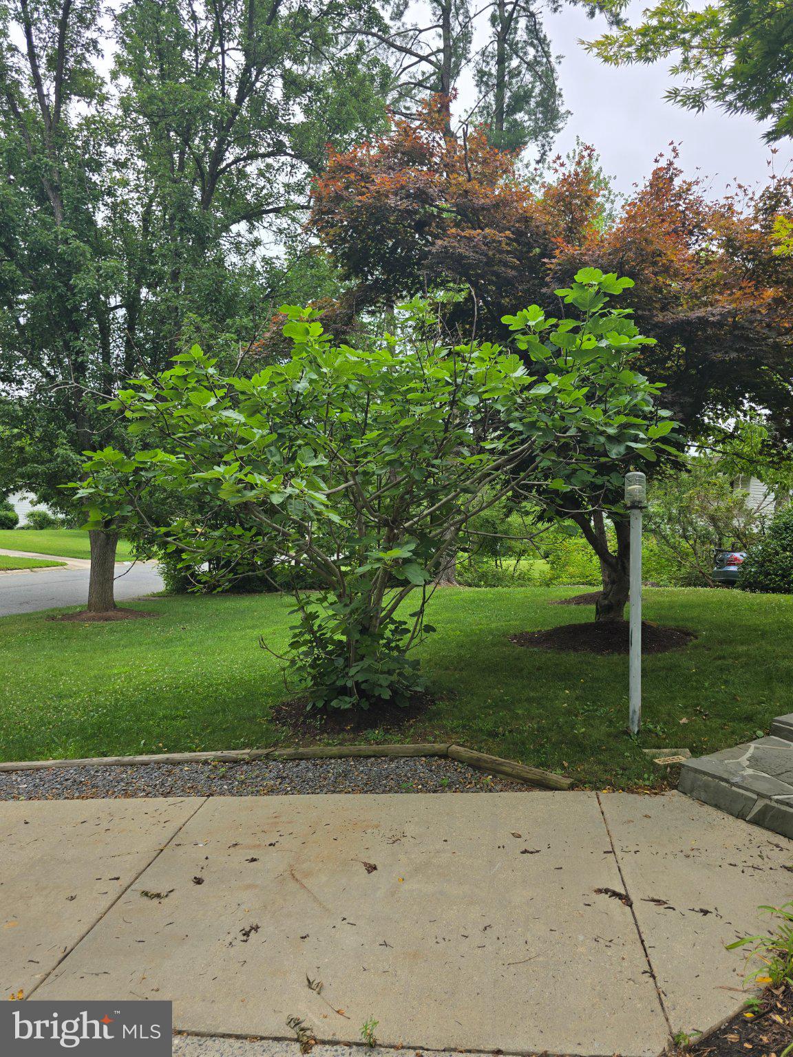 POTOMAC REGENCY - Residential