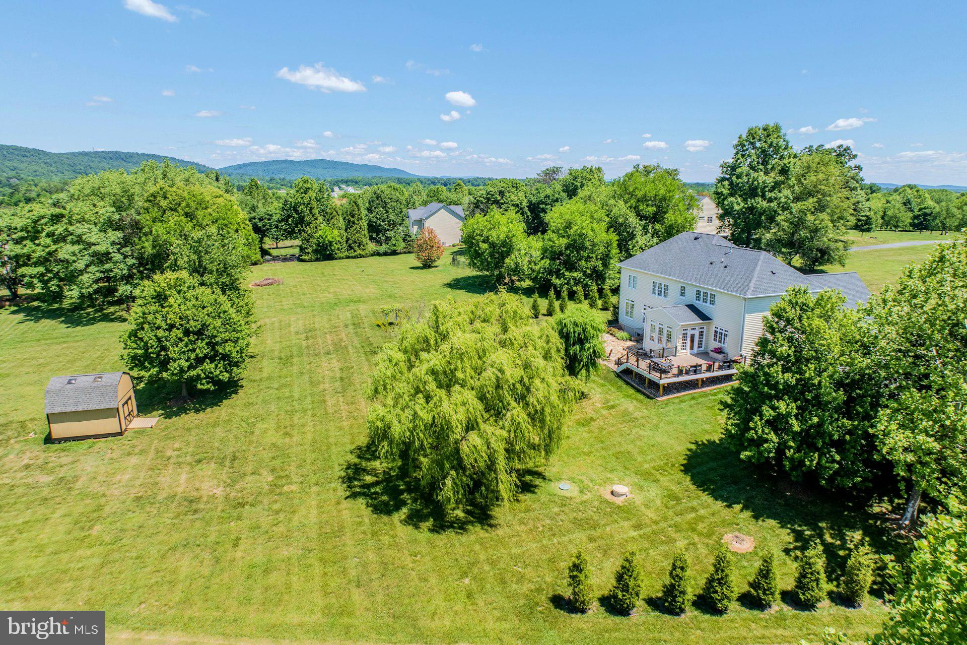 CHESTNUT HILLS - Residential