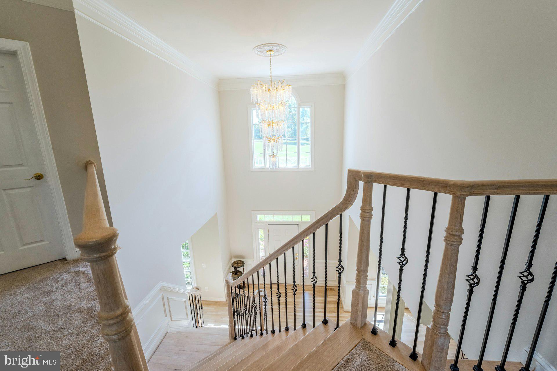 CHESTNUT HILLS - Residential