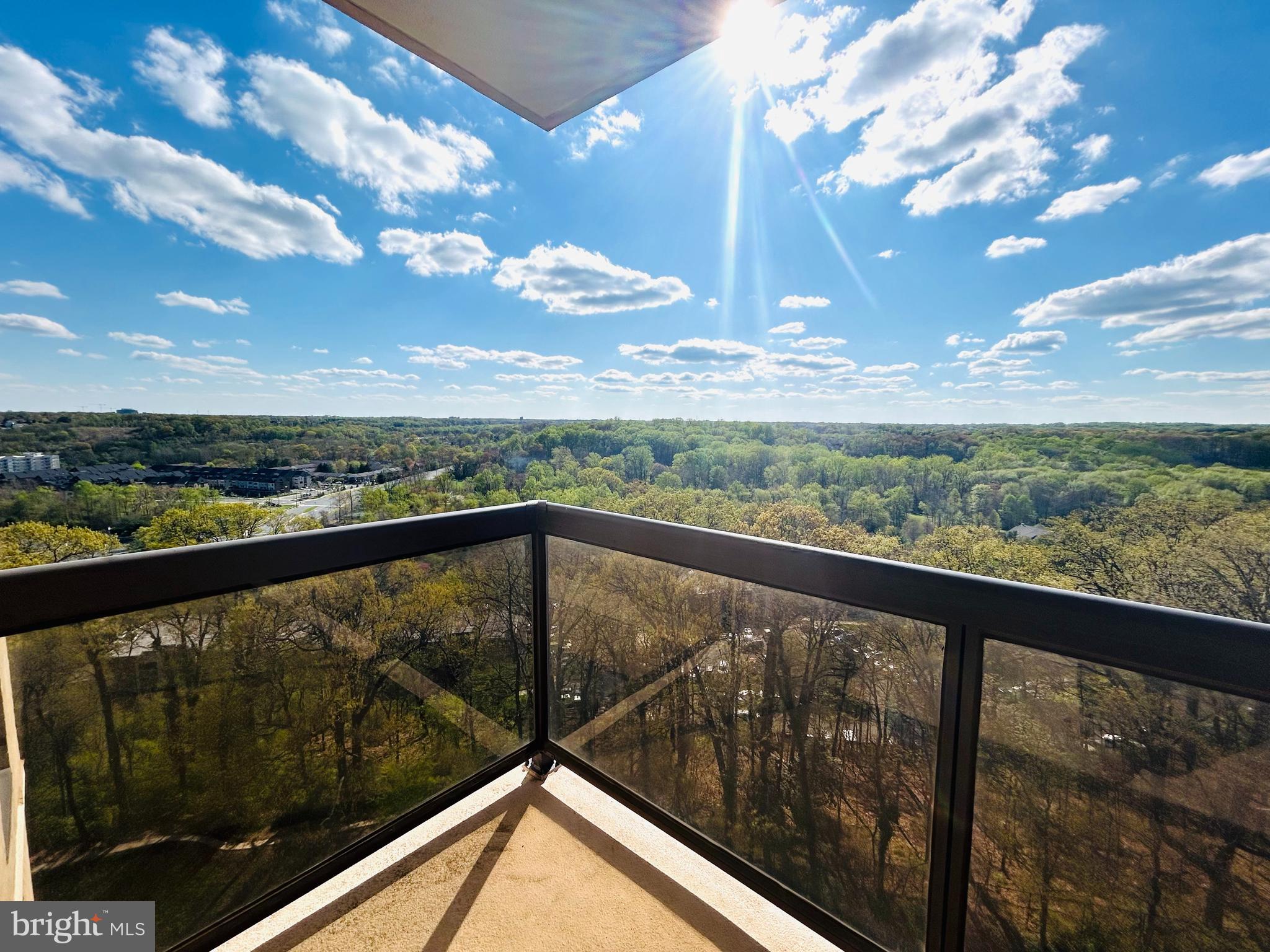 Another Price Improvement at 407K. Motivated Seller. Structurally sound end unit, bring your offer.  Light, bright and open 3BR, 2BA end unit with 1621 square ft, lots of built ins.