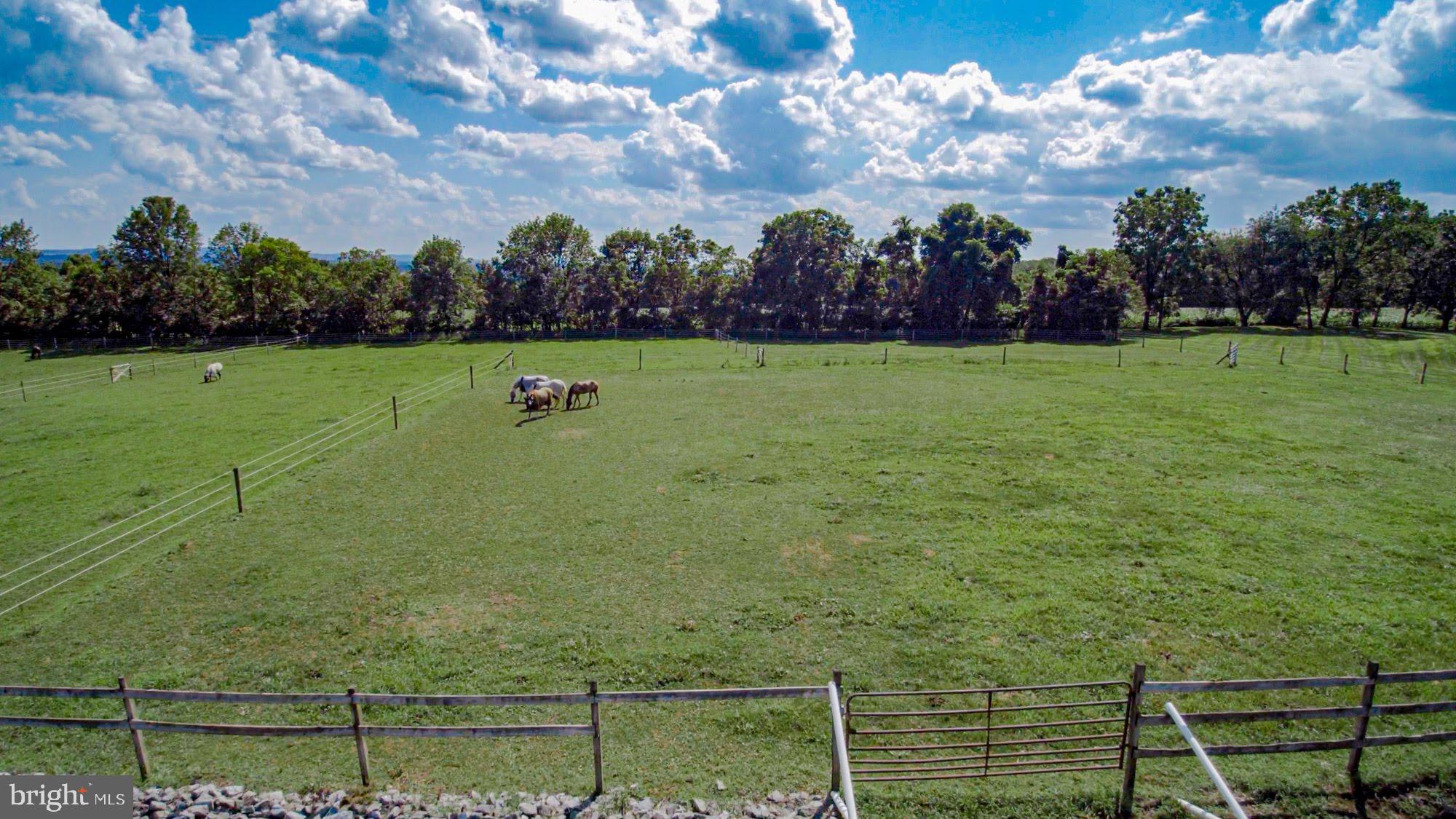NONE  AVAILABLE - Farm