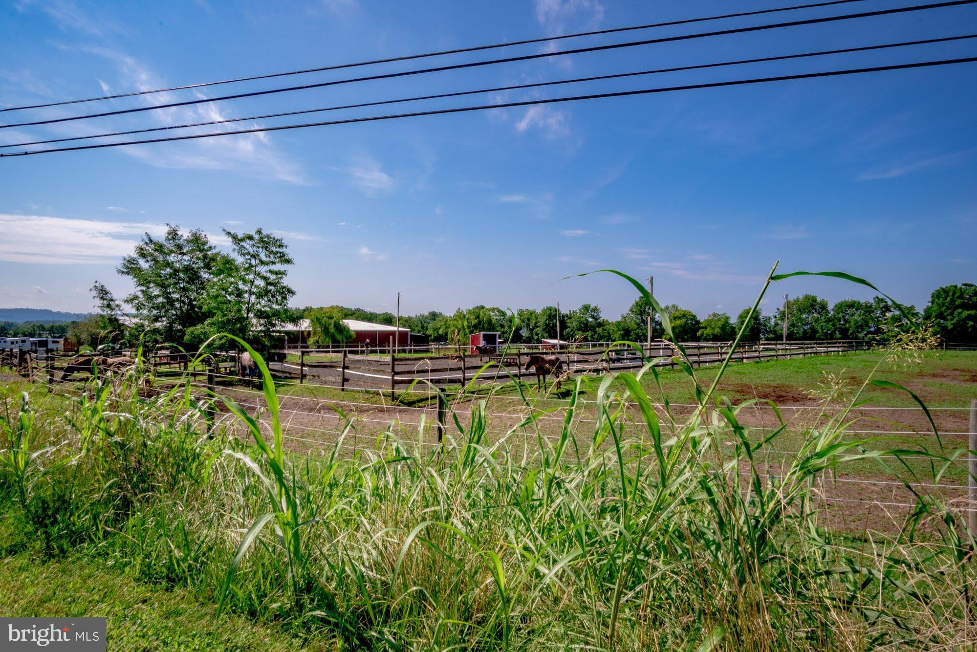 NONE  AVAILABLE - Farm