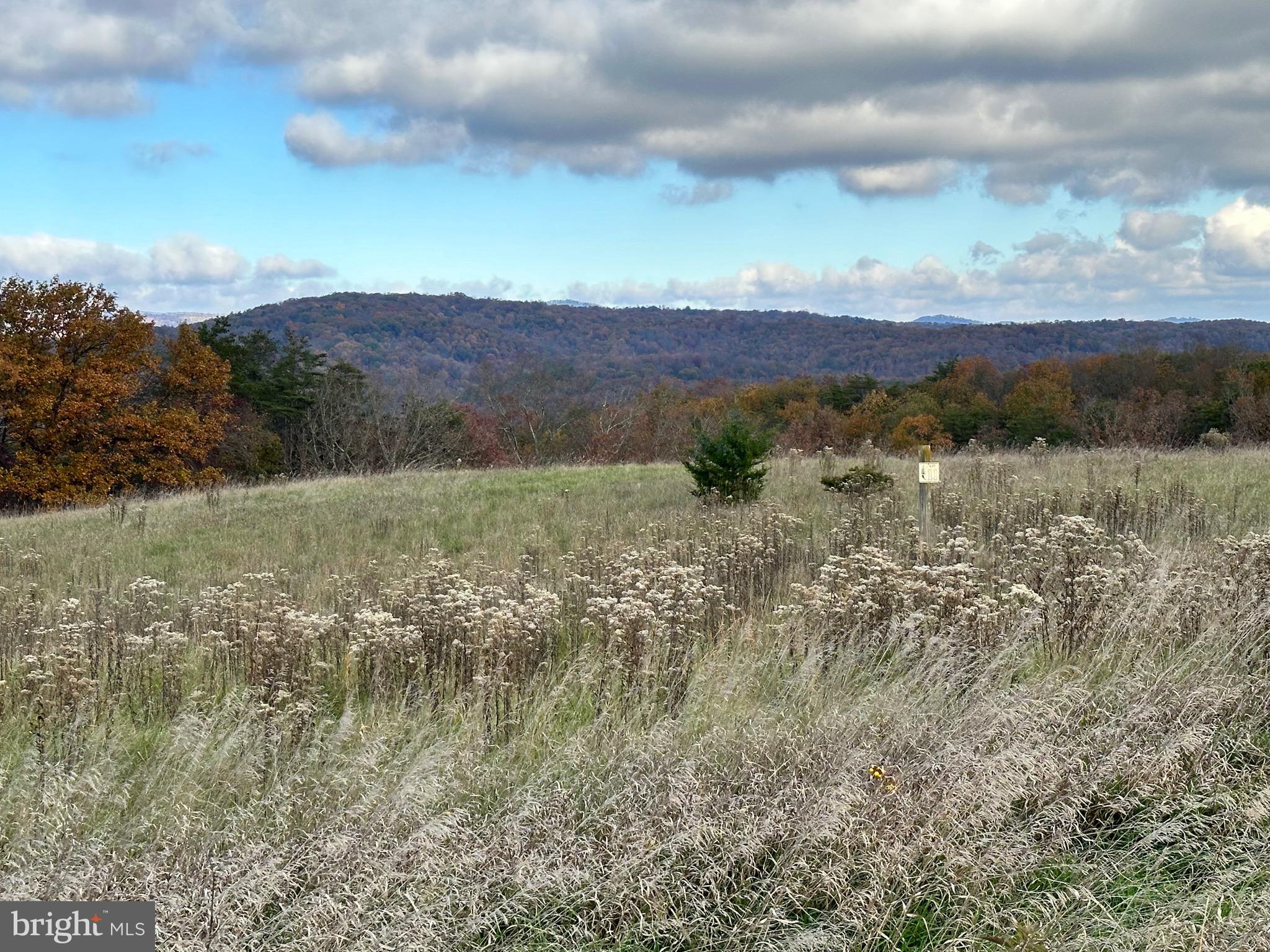 CEDAR LAKE - Land