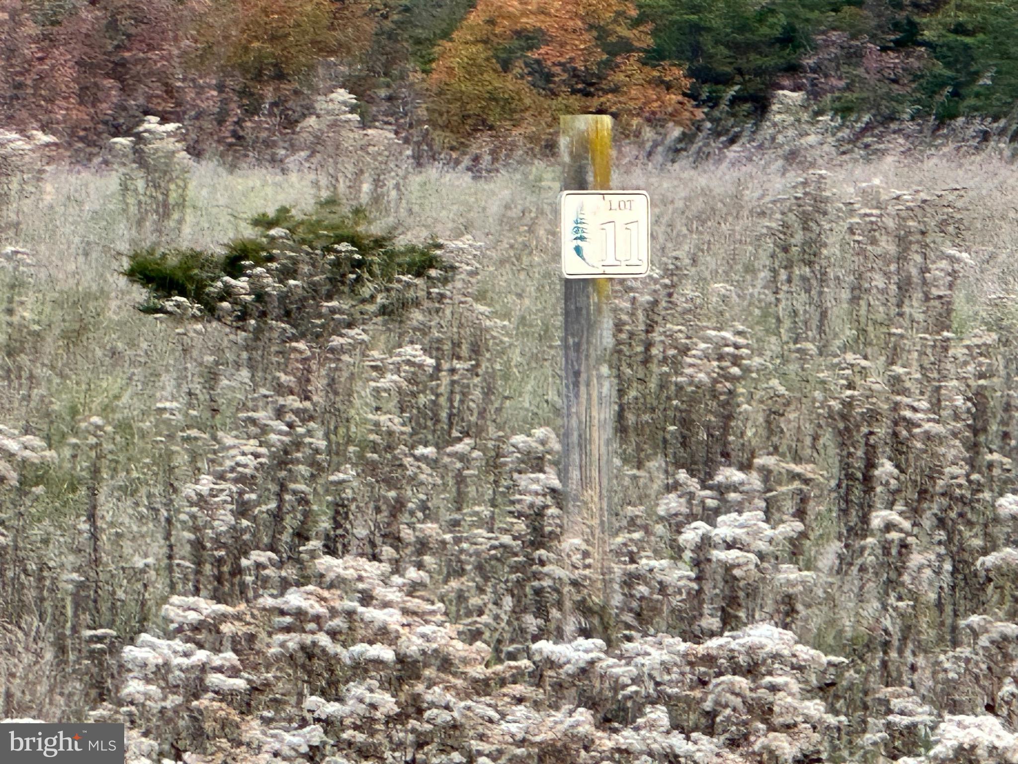 CEDAR LAKE - Land