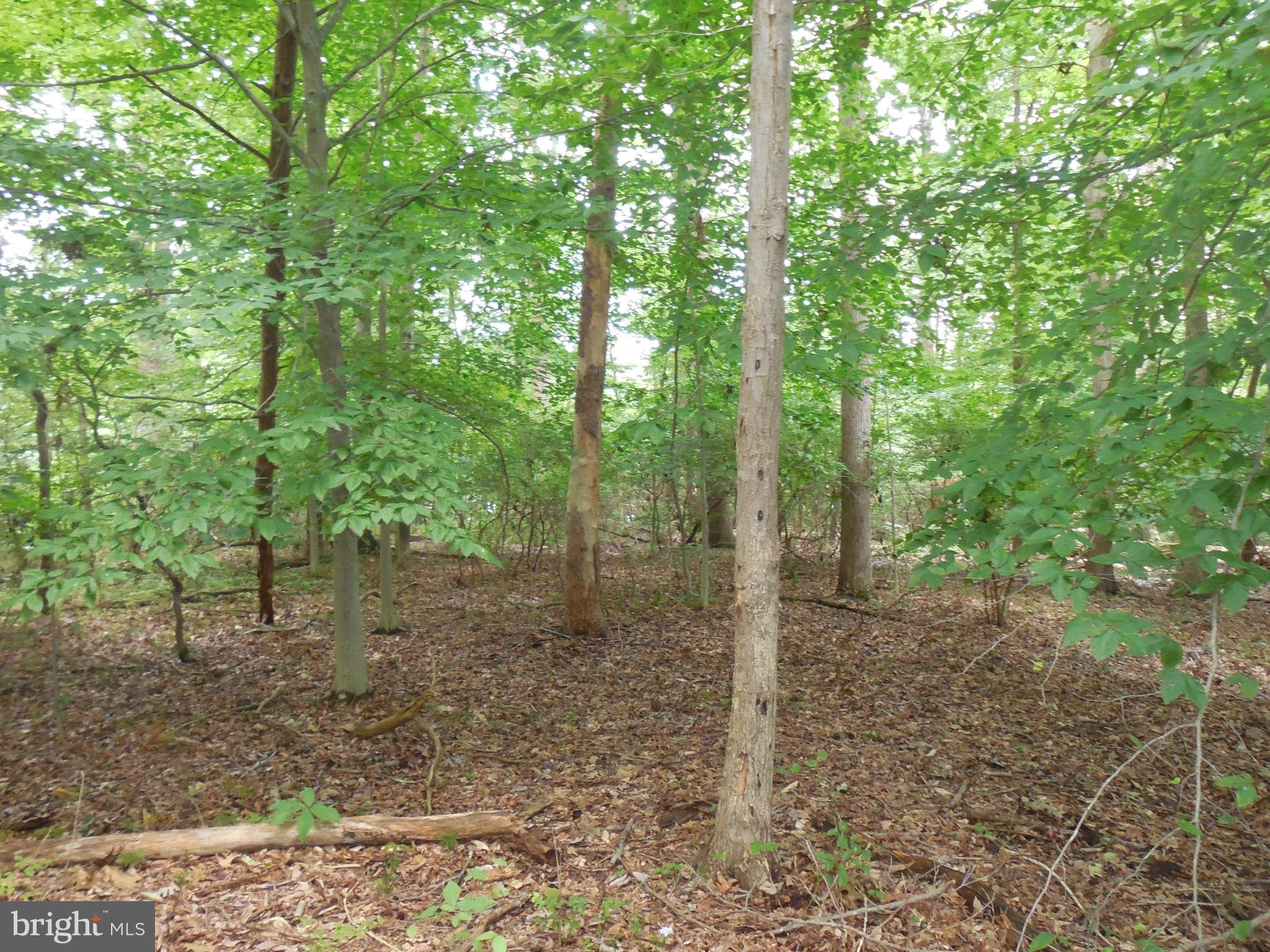 PERRYVILLE - Land