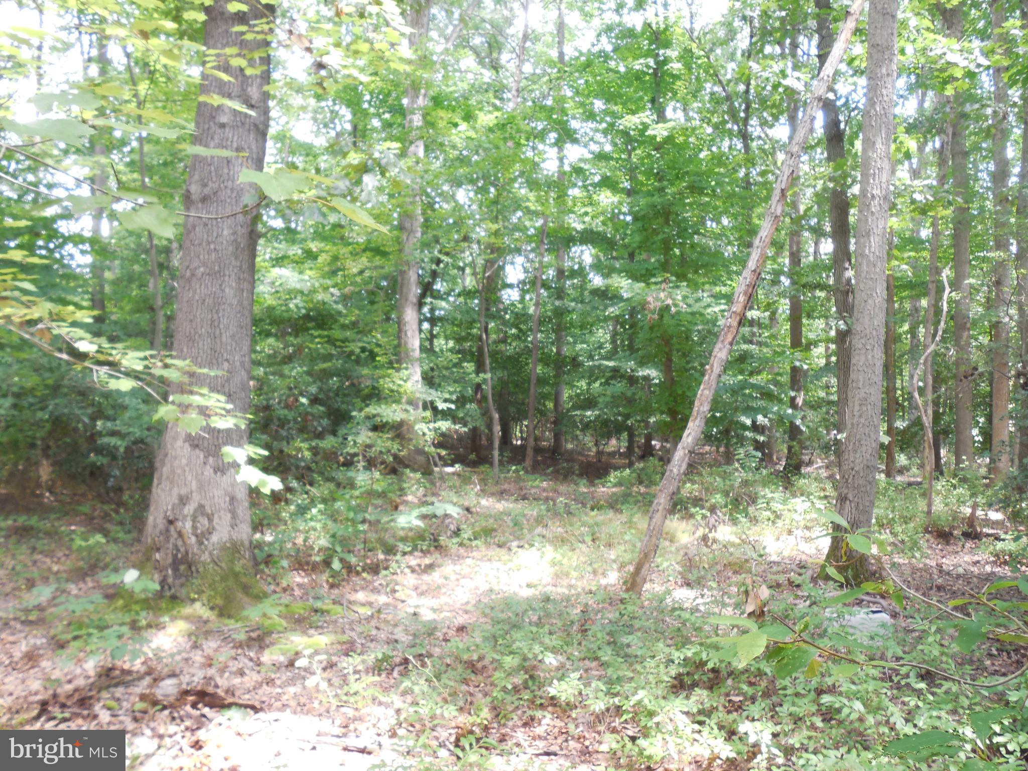 PERRYVILLE - Land