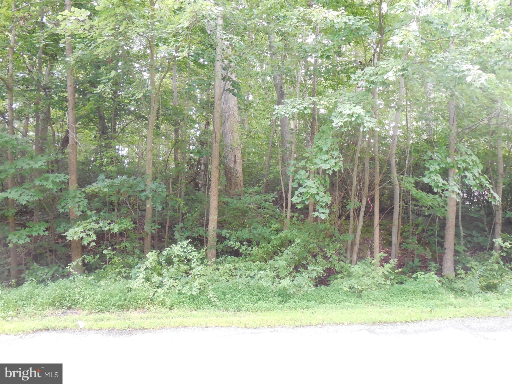 PERRYVILLE - Land