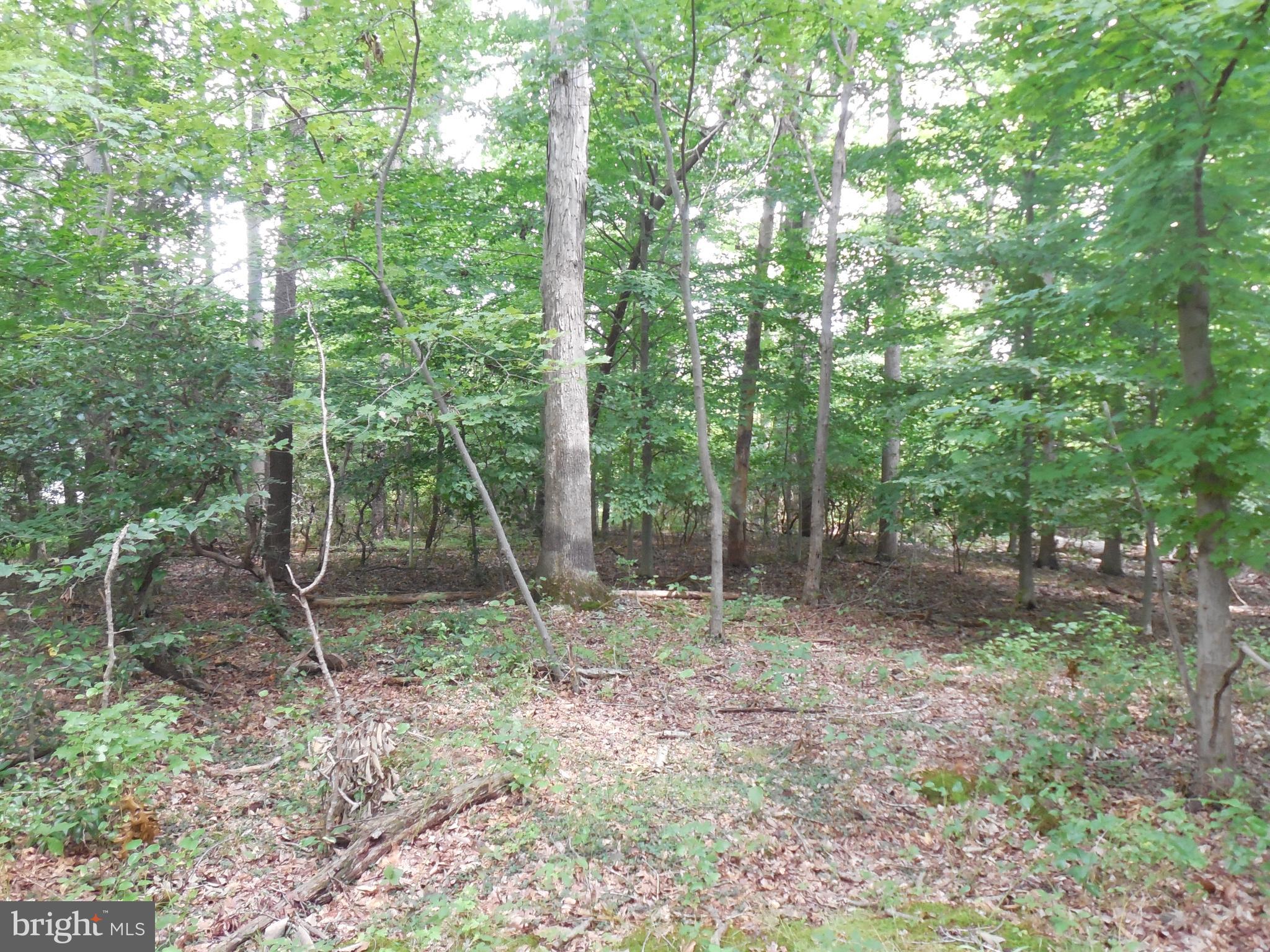 PERRYVILLE - Land