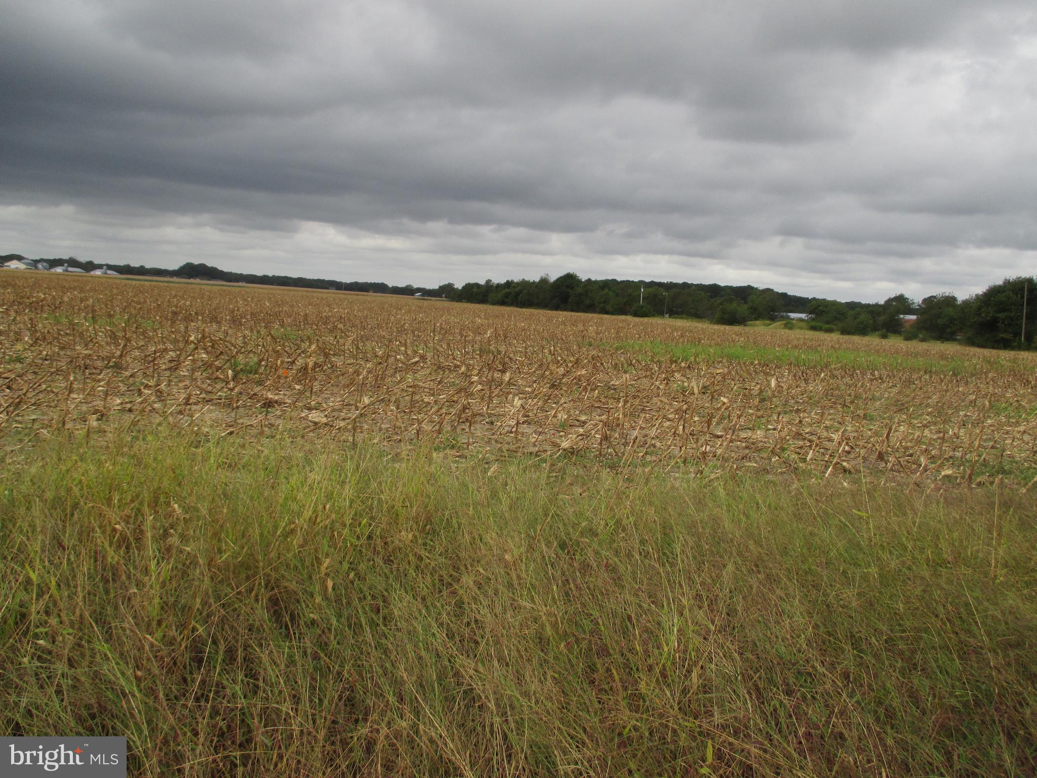 1.01 Acre lot on Gray Road approved for a gravity septic system short drive to the beach, State Parks, Community Shopping, Restaurants etc. Located in the Lord Baltimore School District. No doublewides permitted!