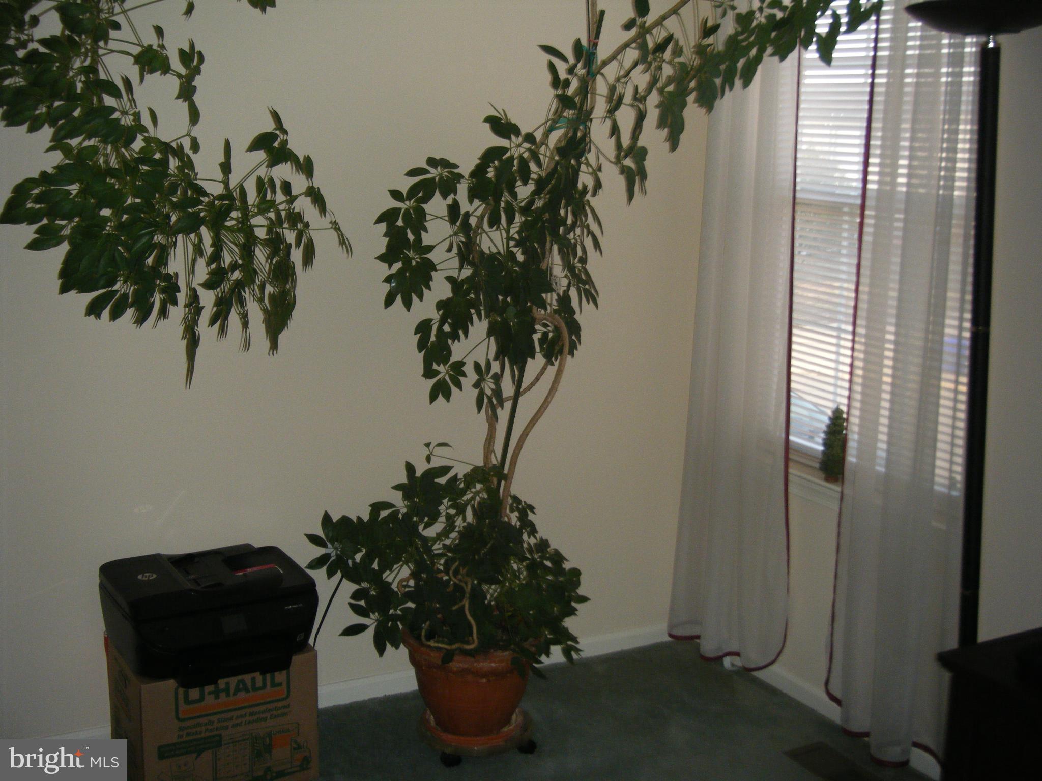 WEST PHILADELPHIA - Residential