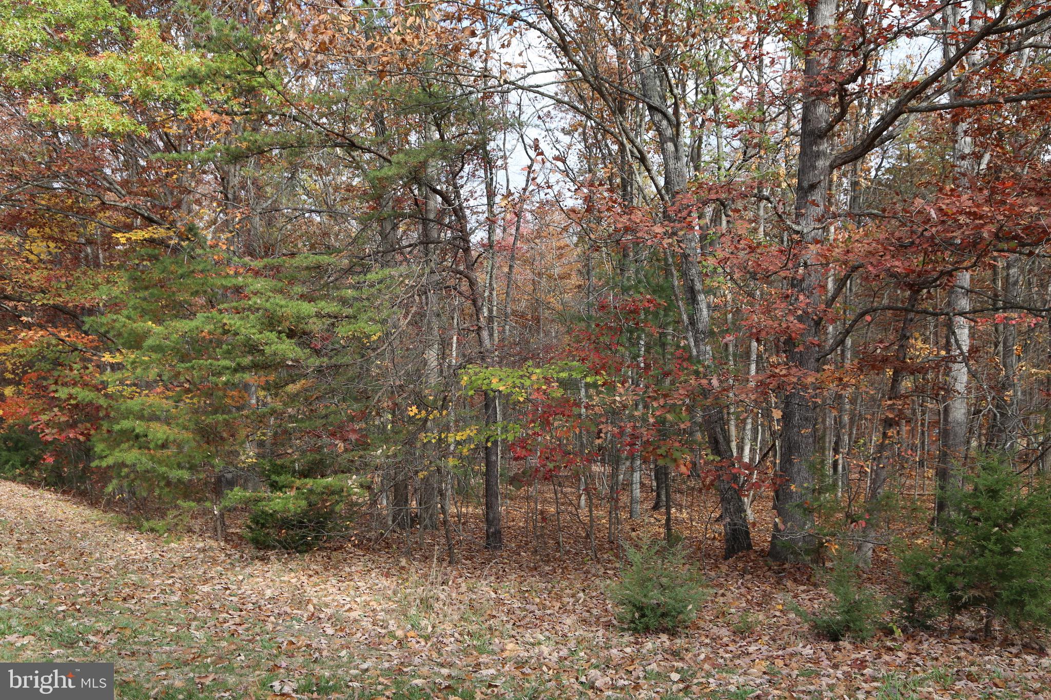 WARDEN ACRES - Land