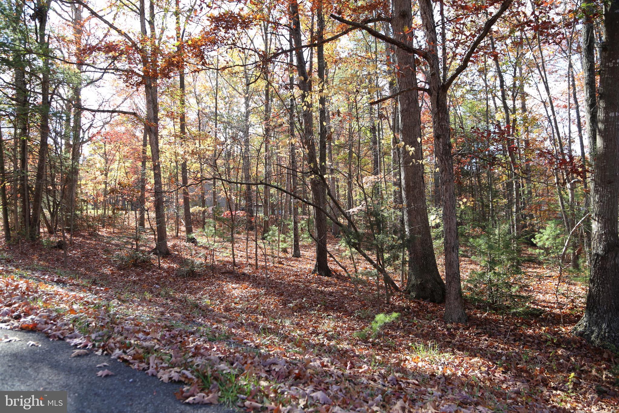 WARDEN ACRES - Land