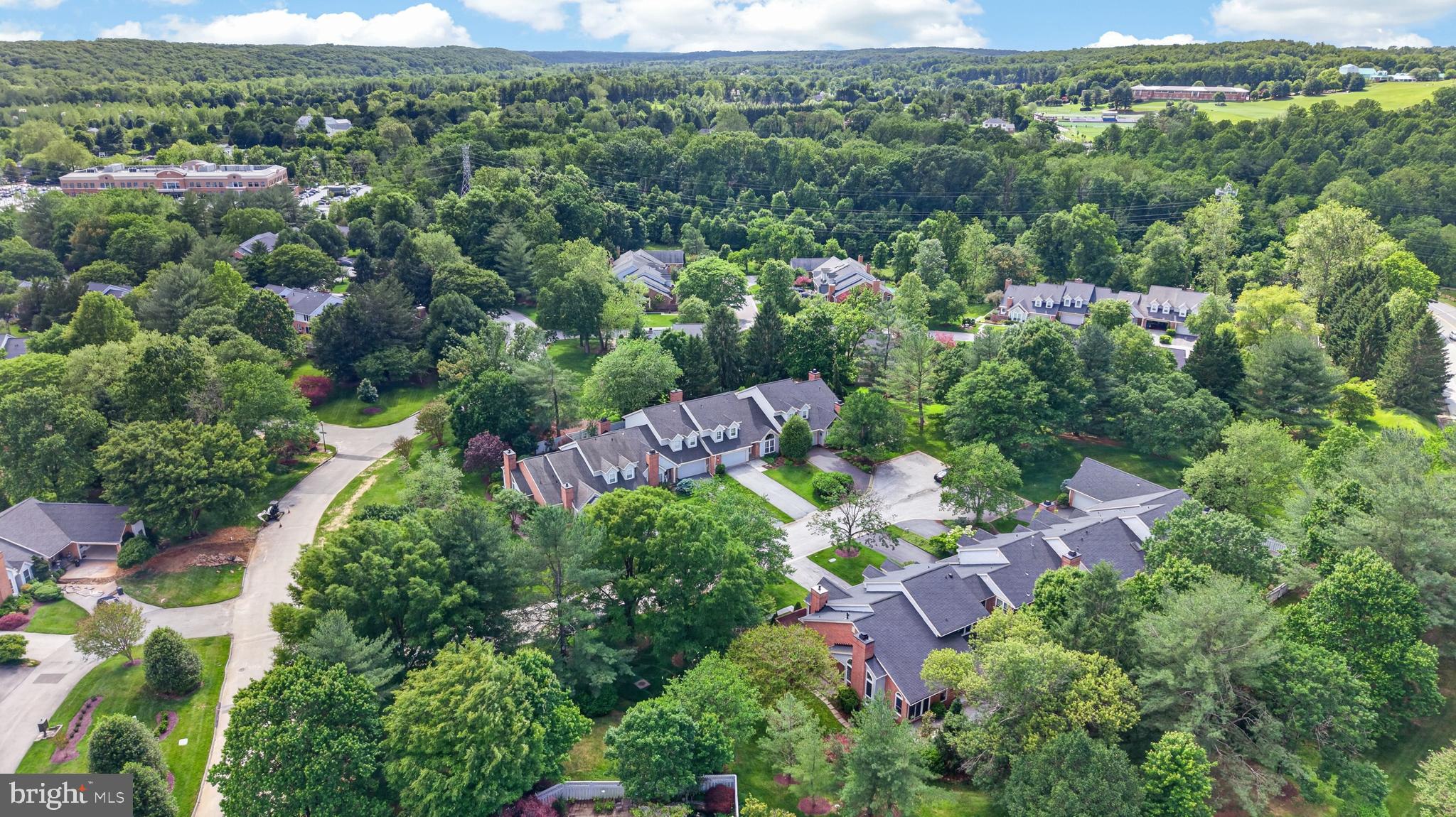 THE MEADOWS OF GREEN SPRING - Residential