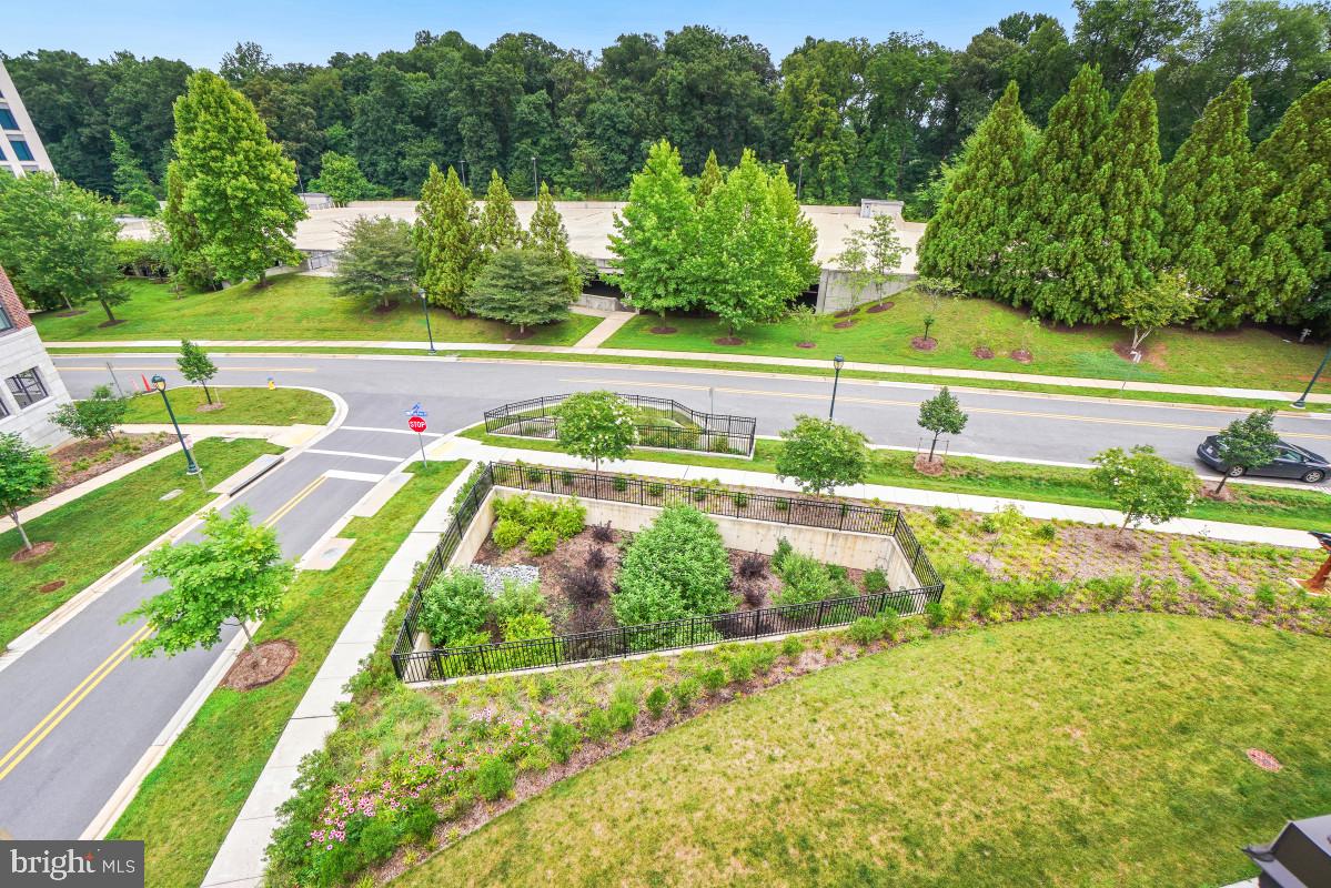 TOWER OAKS - Residential