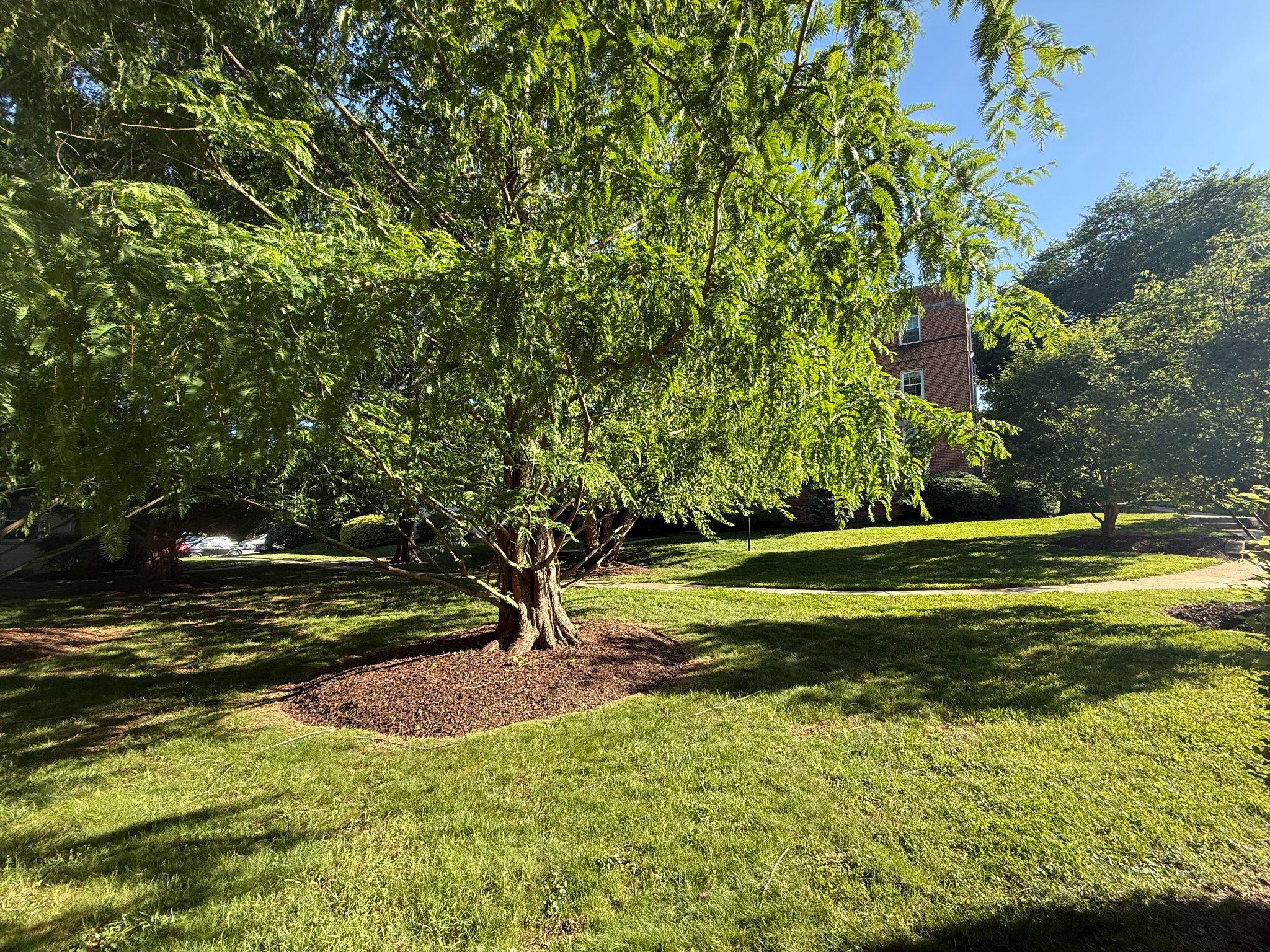 ROCK CREEK COMMONS - Residential