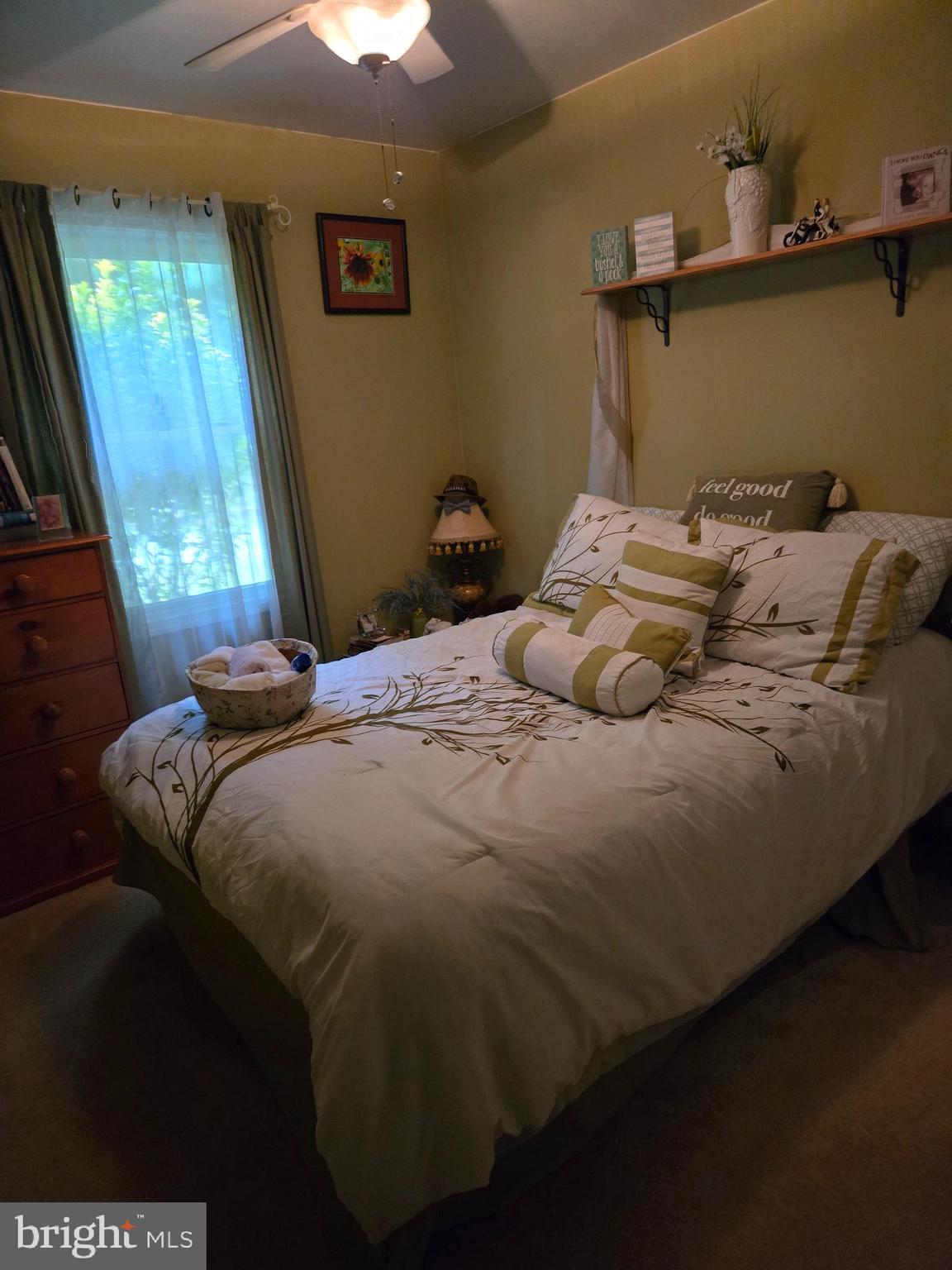 SHENANDOAH NORTH - Residential