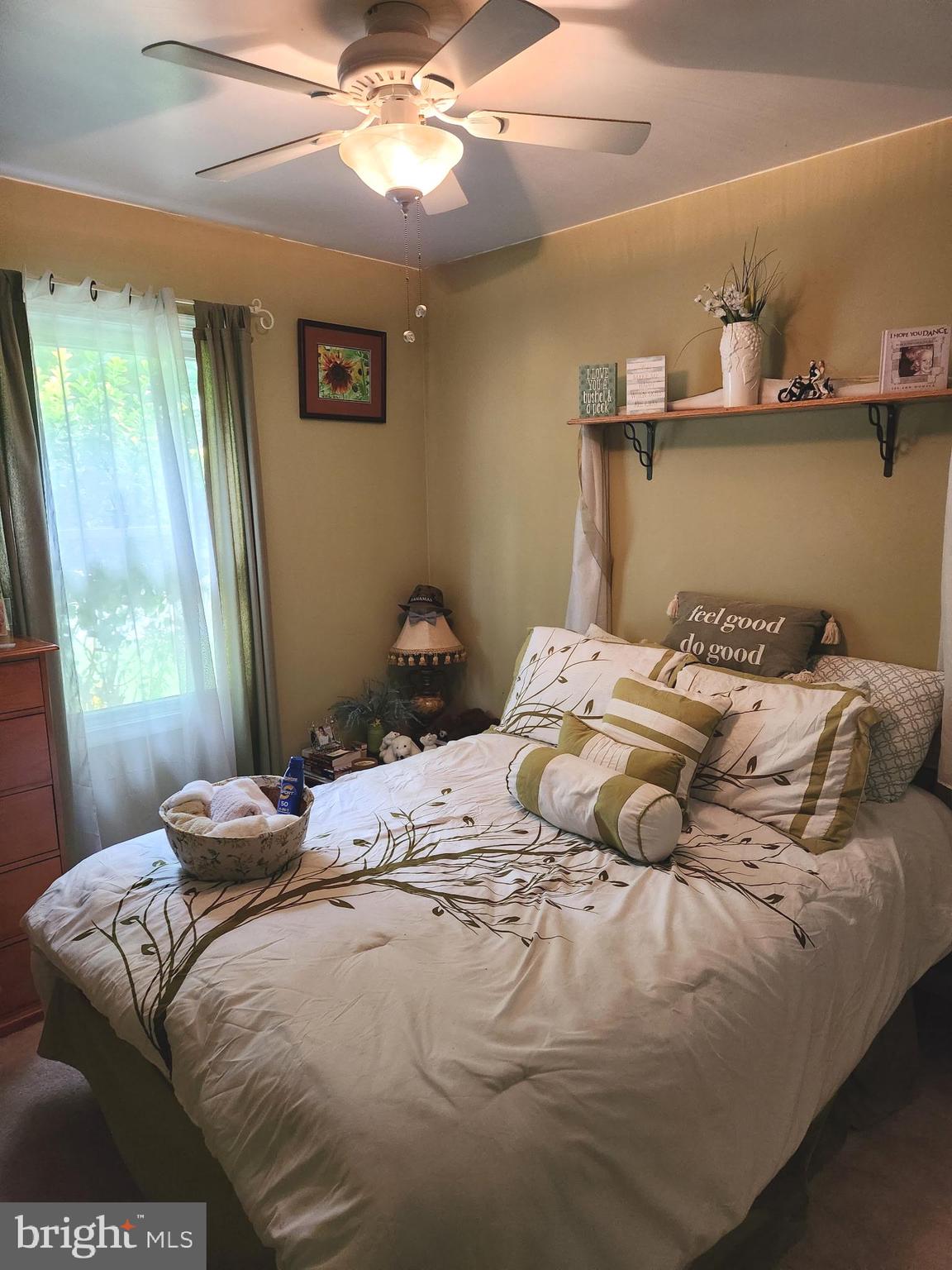 SHENANDOAH NORTH - Residential