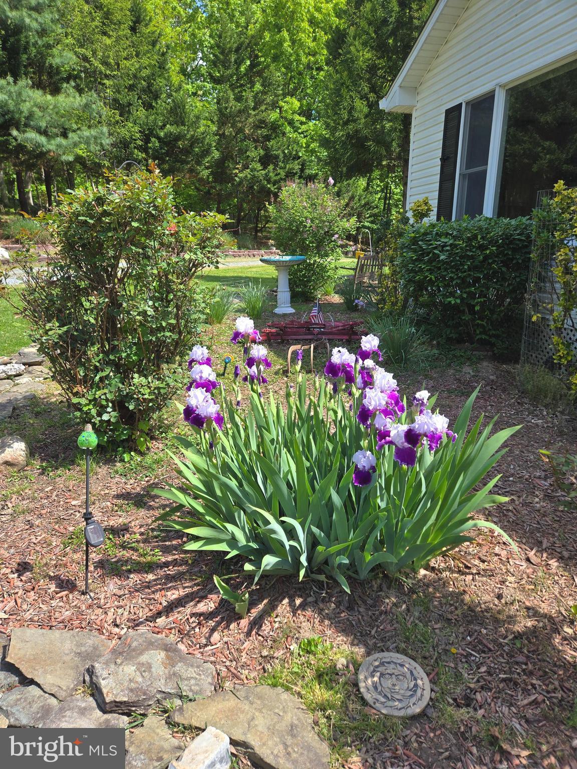 SHENANDOAH NORTH - Residential