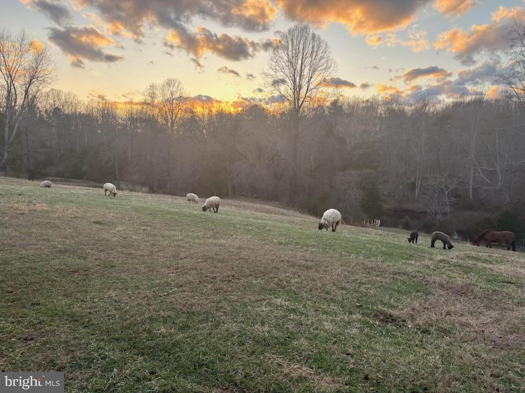 CULPEPER - Residential