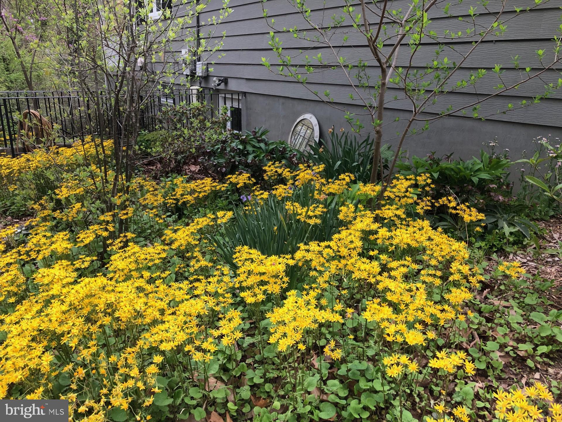 SEVERNA PARK - Residential