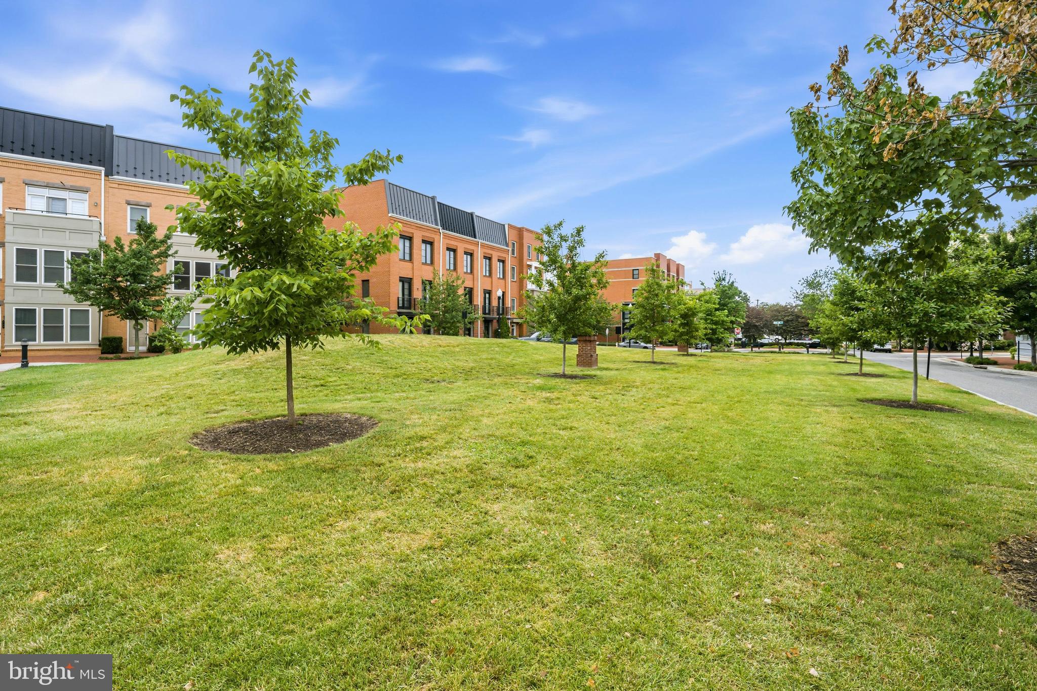 POTOMAC YARD - Residential