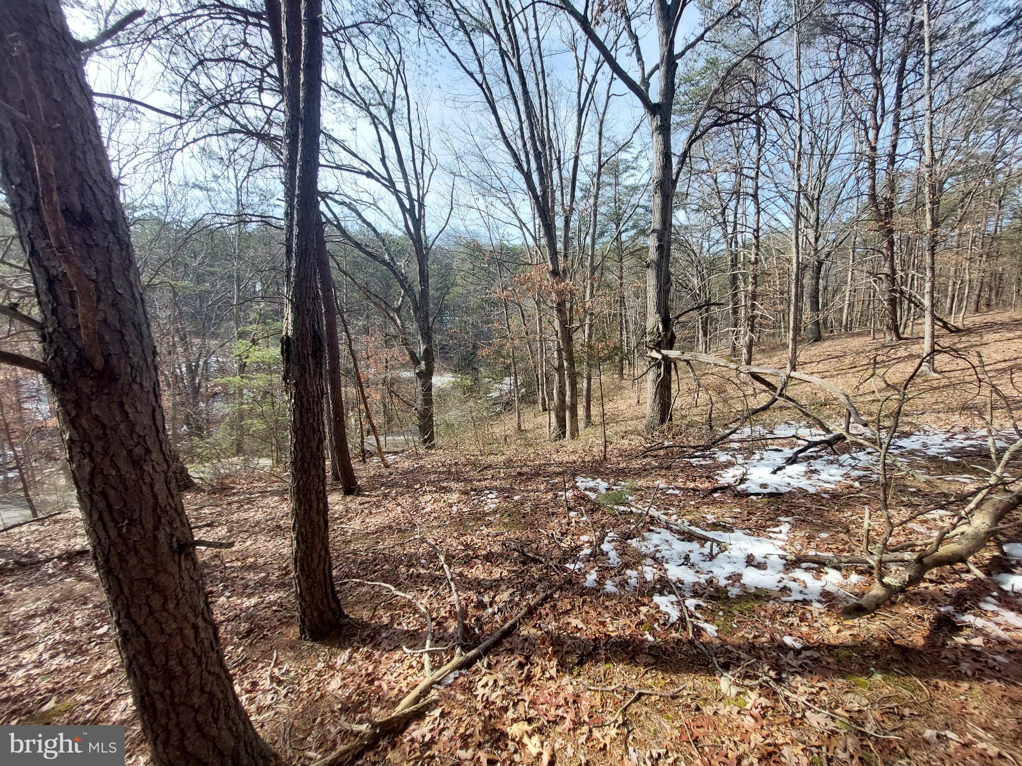 Welcome to your own piece of wilderness paradise in Delray, West Virginia! This 2.260-acre parcel of land offers plenty of wildlife and wooded surroundings, perfect for camping, recreation, or building your dream home.  Located in a community offering access to 8,000 acres of public hunting land within the West Virginia Wildlife Management Area.  Those who prefer to be outdoors will appreciate the endless opportunities for adventure and exploring right at their doorstep!  Wooded, private and gently sloped, bring your RV or home ideas and start enjoying this land by spring!  Whether you're seeking a peaceful retreat from a hectic city life or an opportunity to spend quality time in the great outdoors, this property provides the perfect canvas for your vision. Don't miss out on this affordable opportunity to own land in a place where freedom and natural beauty are valued. Come experience the adventure that living in West Virginia offers!