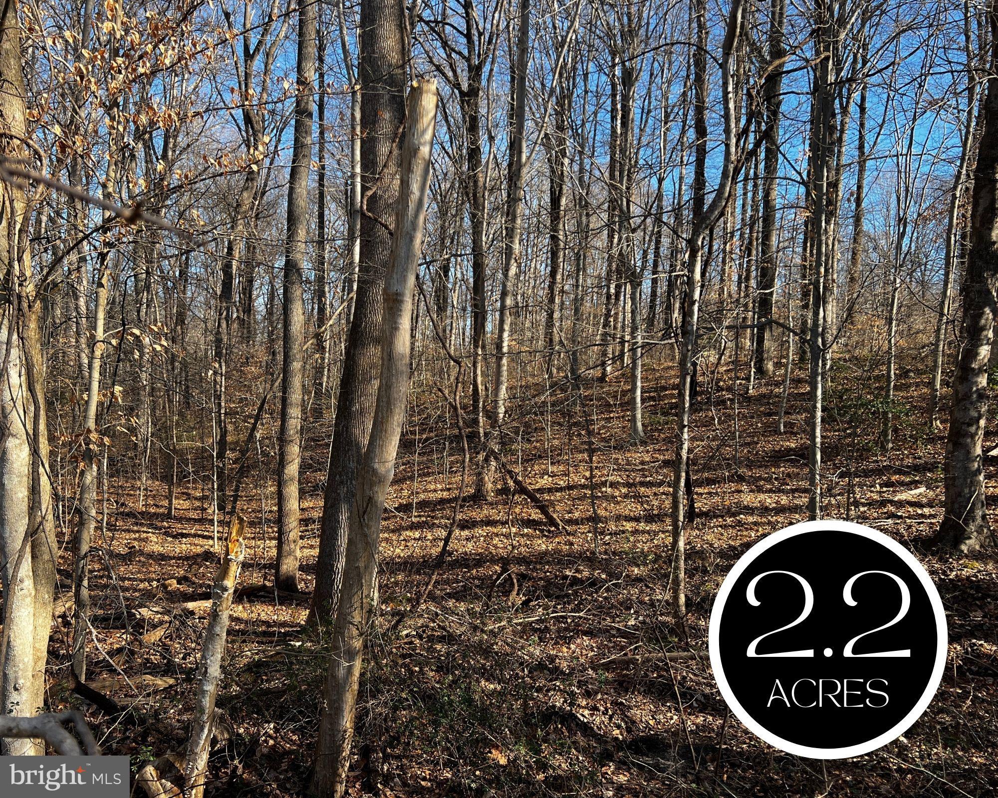 Ready to build on a very peaceful & quiet lot? Quick drive into DC and Annapolis.  There is a recorded an approved perc. See the attached PLAT  - all four corners are also marked.