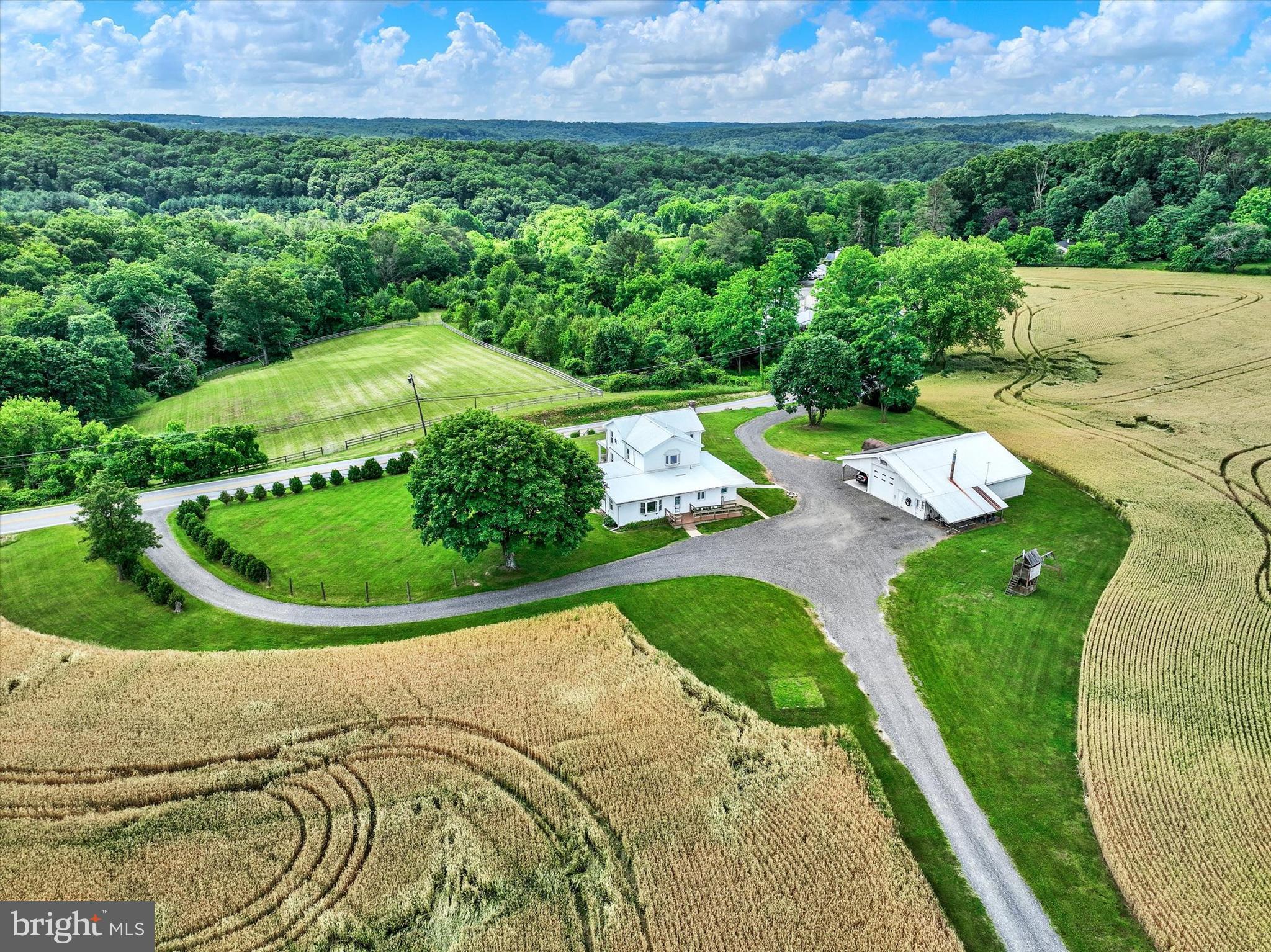 WHITE HALL - Farm