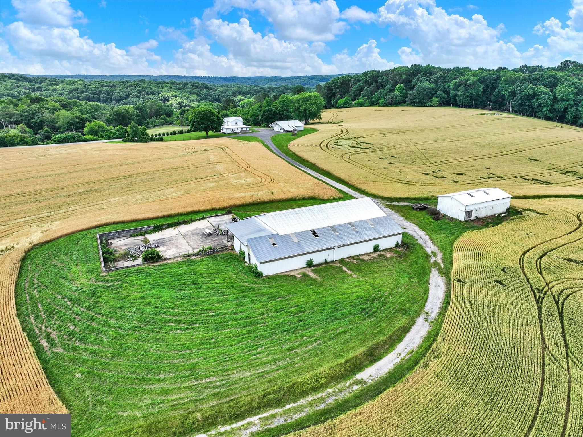 WHITE HALL - Farm