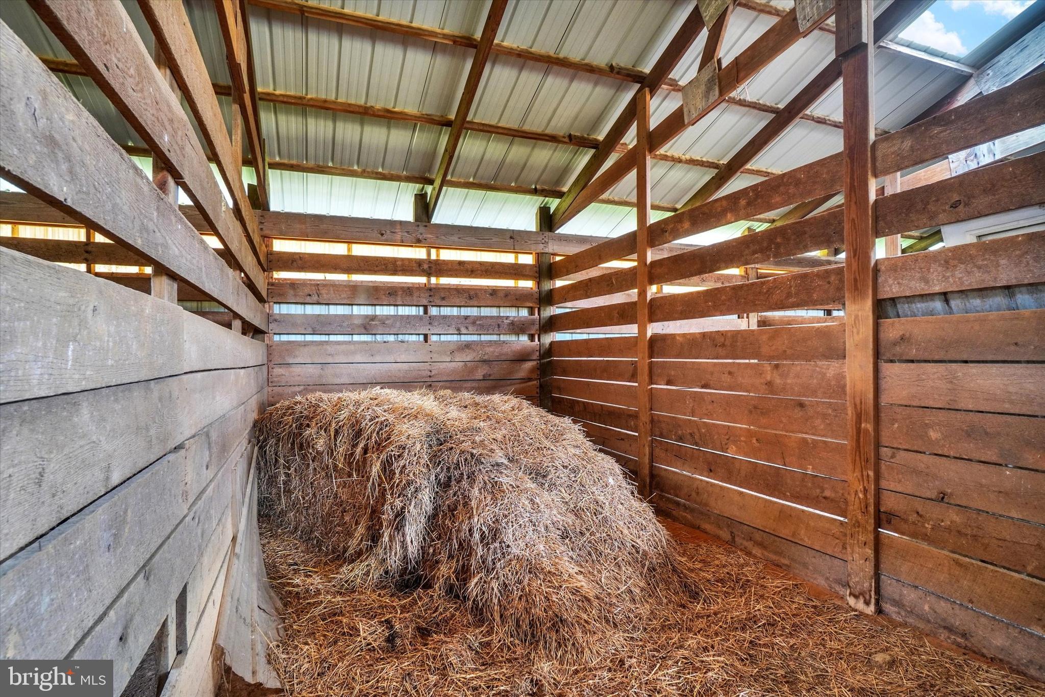 WHITE HALL - Farm