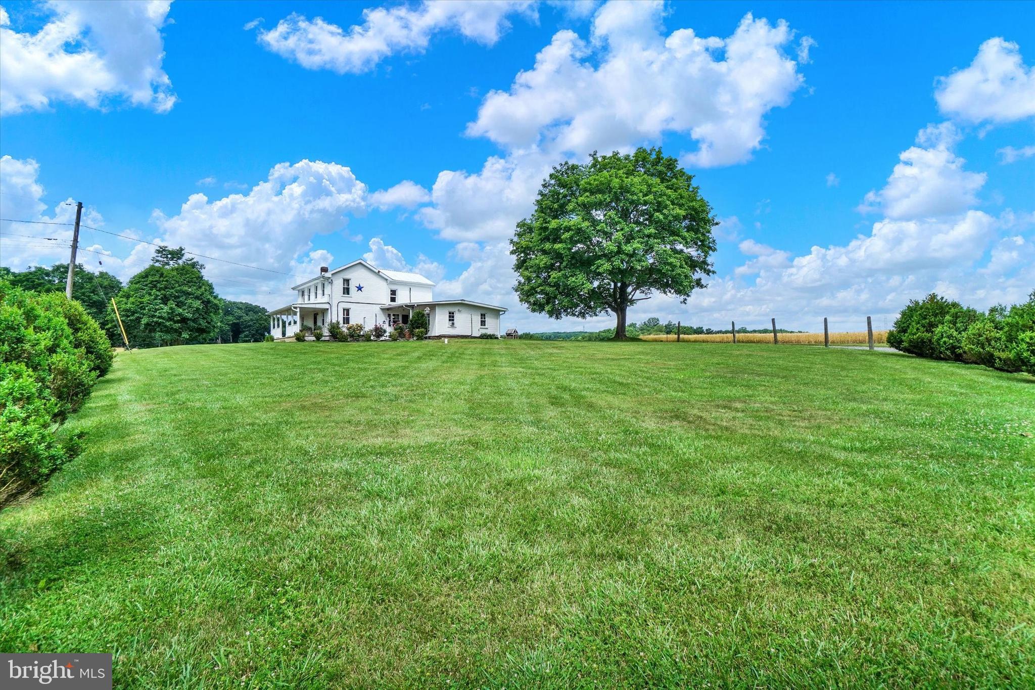 WHITE HALL - Farm