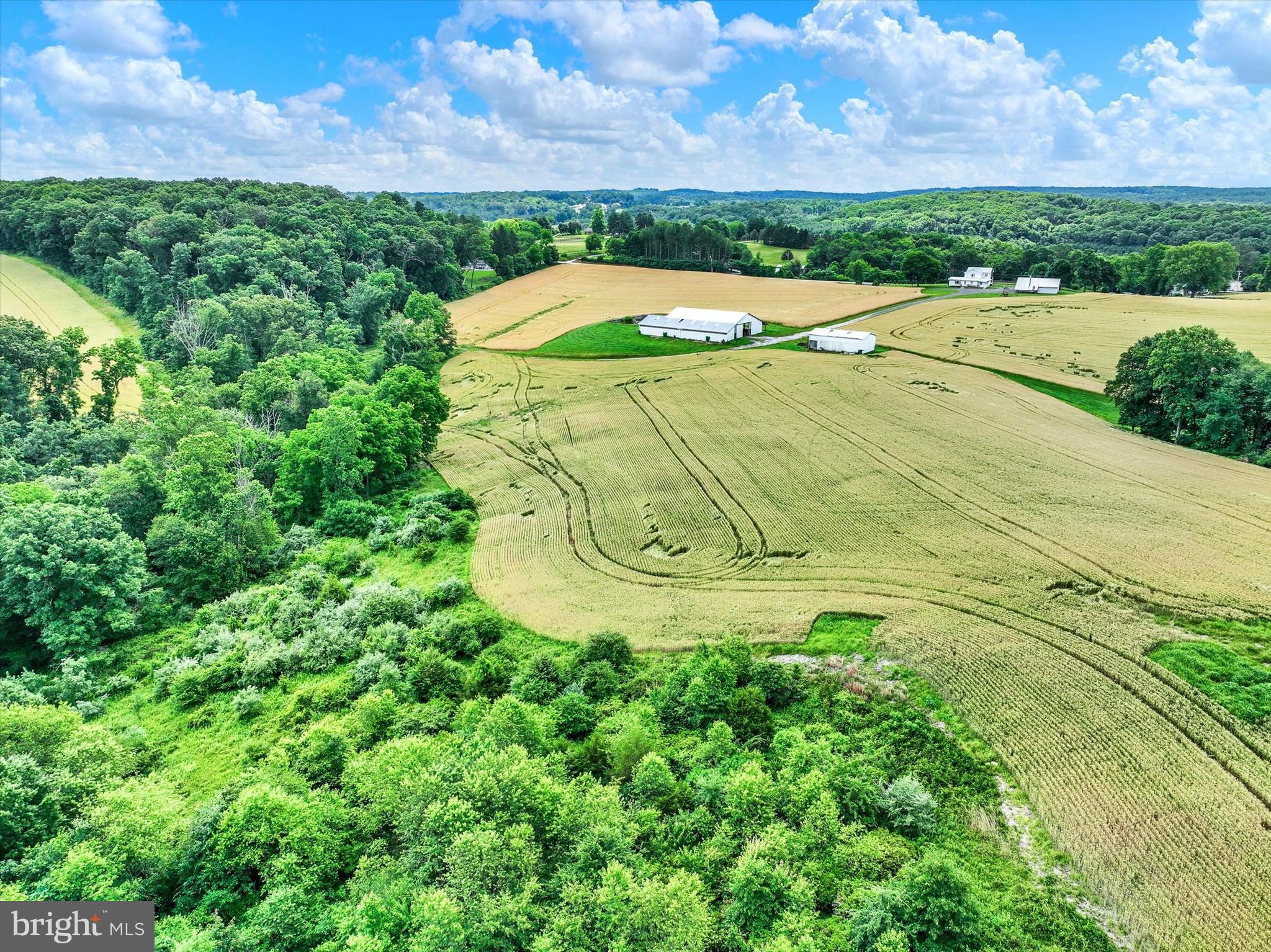 WHITE HALL - Farm