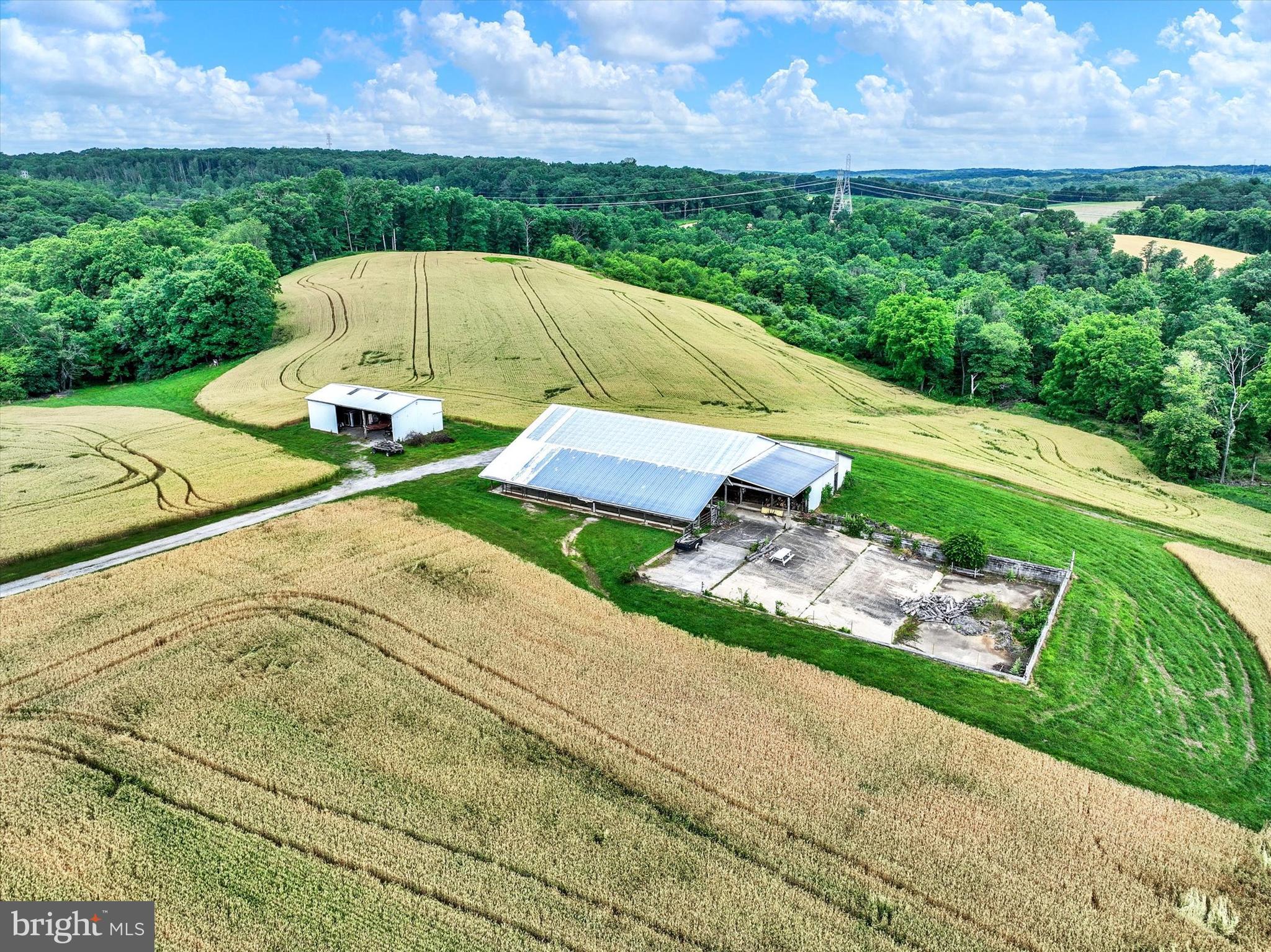 WHITE HALL - Farm