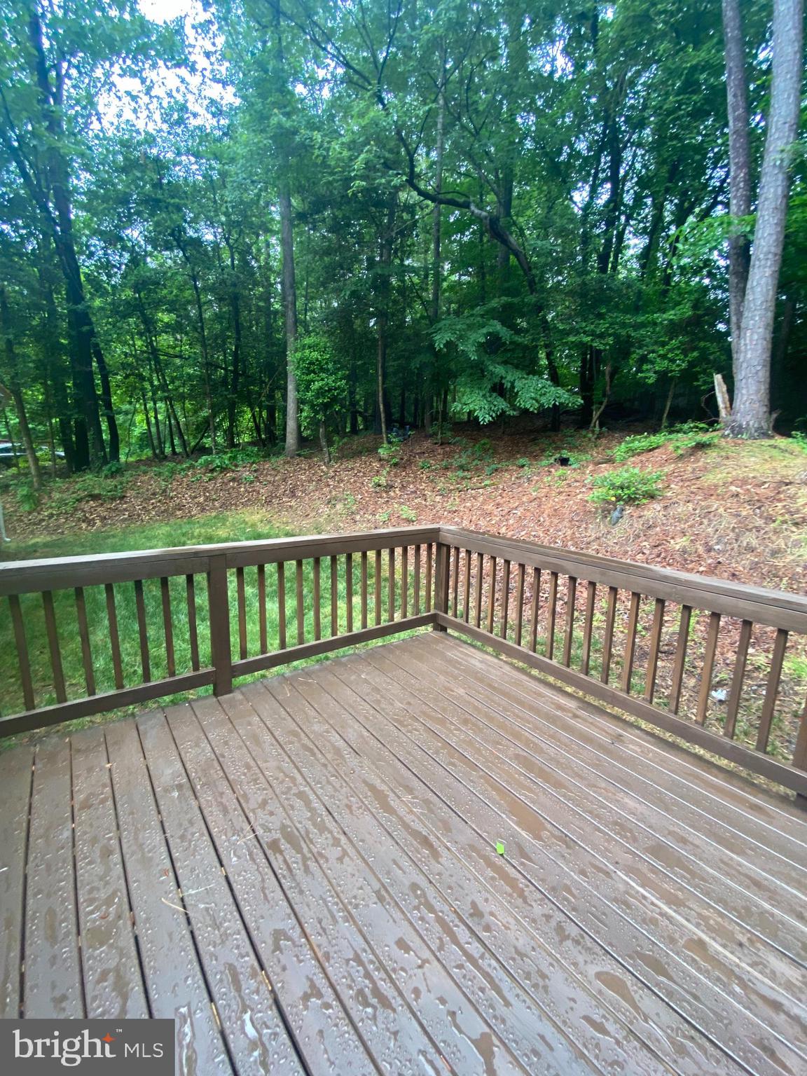 CLARENDON - Residential Lease