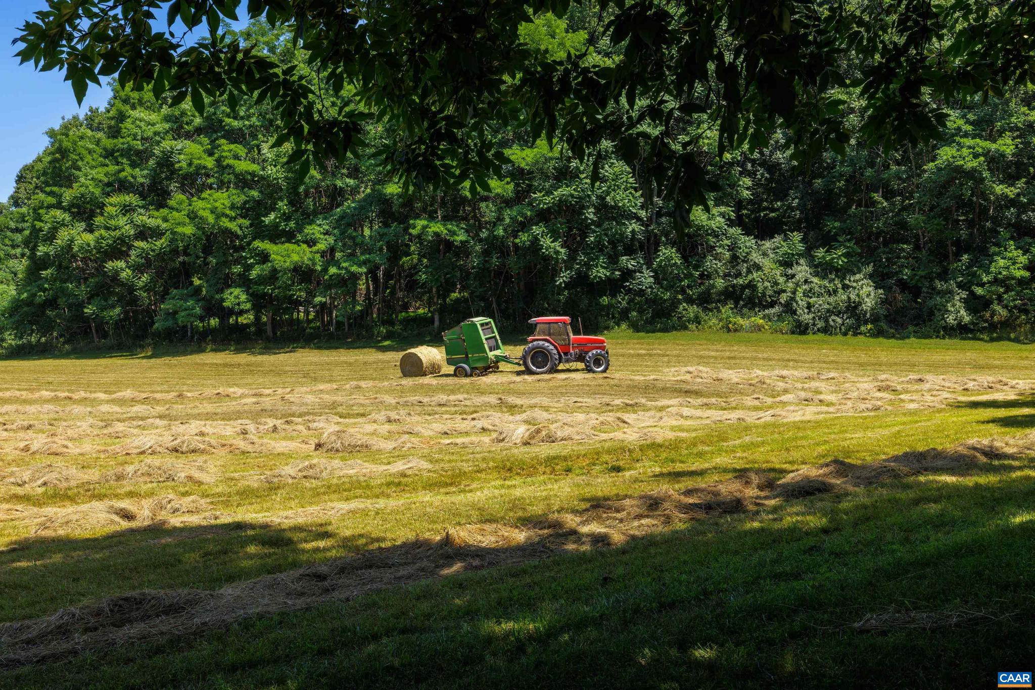 NONE AVAILABLE - Farm