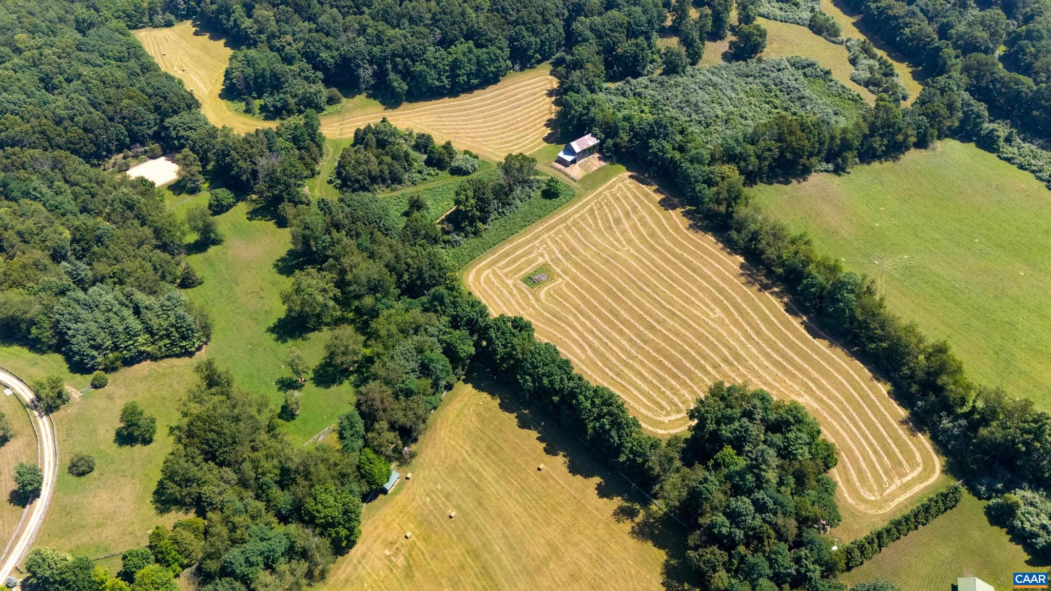 NONE AVAILABLE - Farm