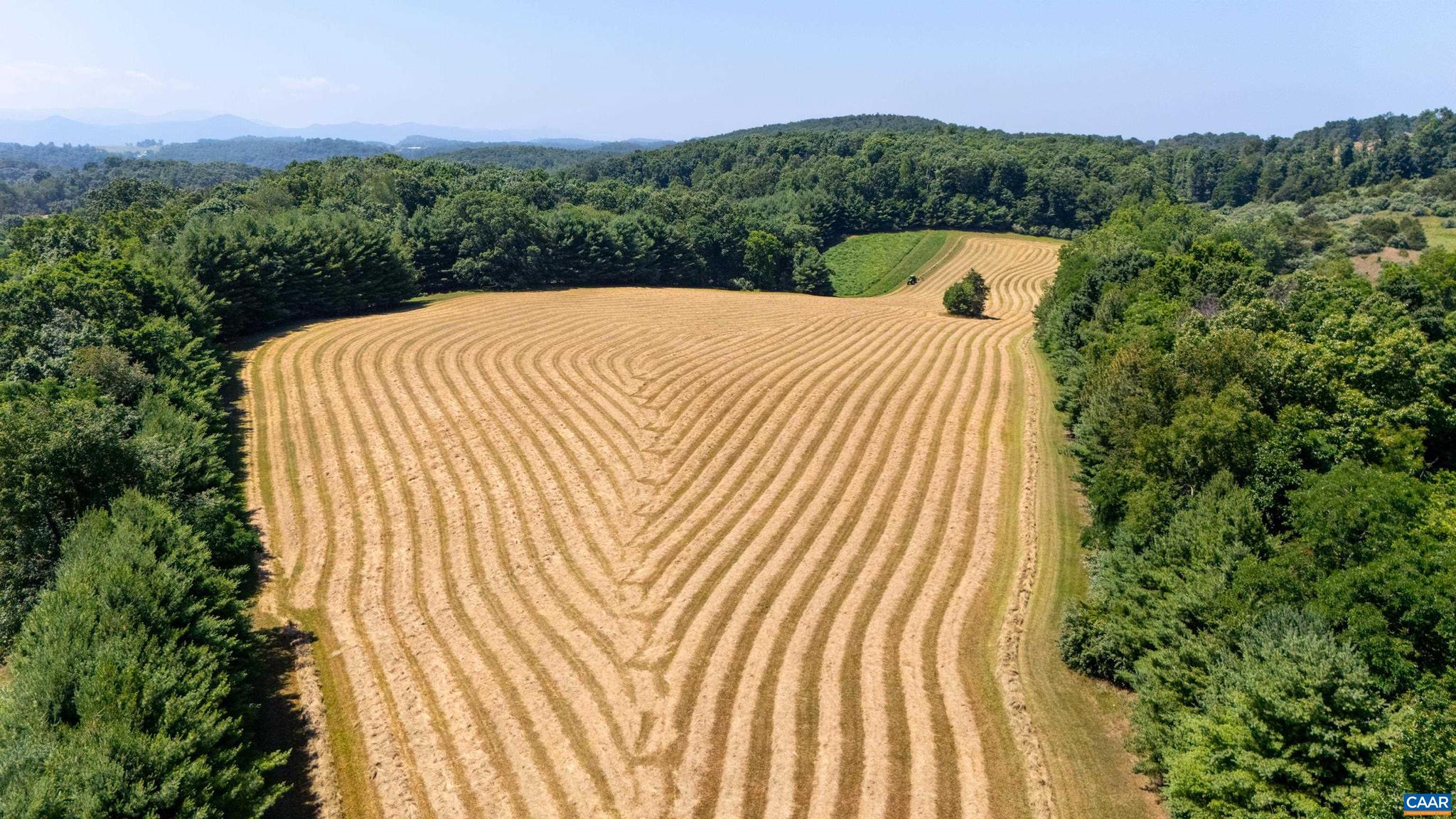 NONE AVAILABLE - Farm