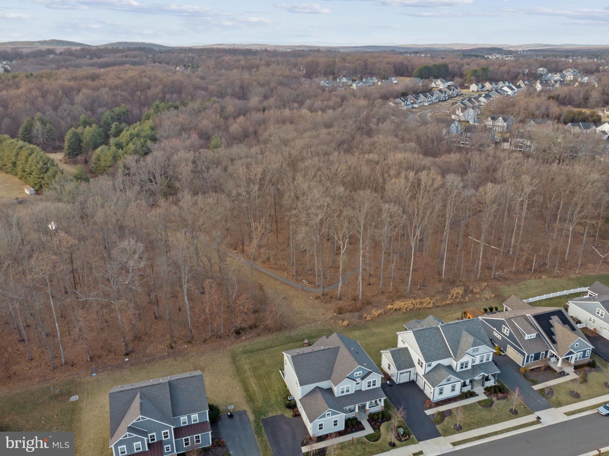 GROVE AT WILLOWSFORD - Residential