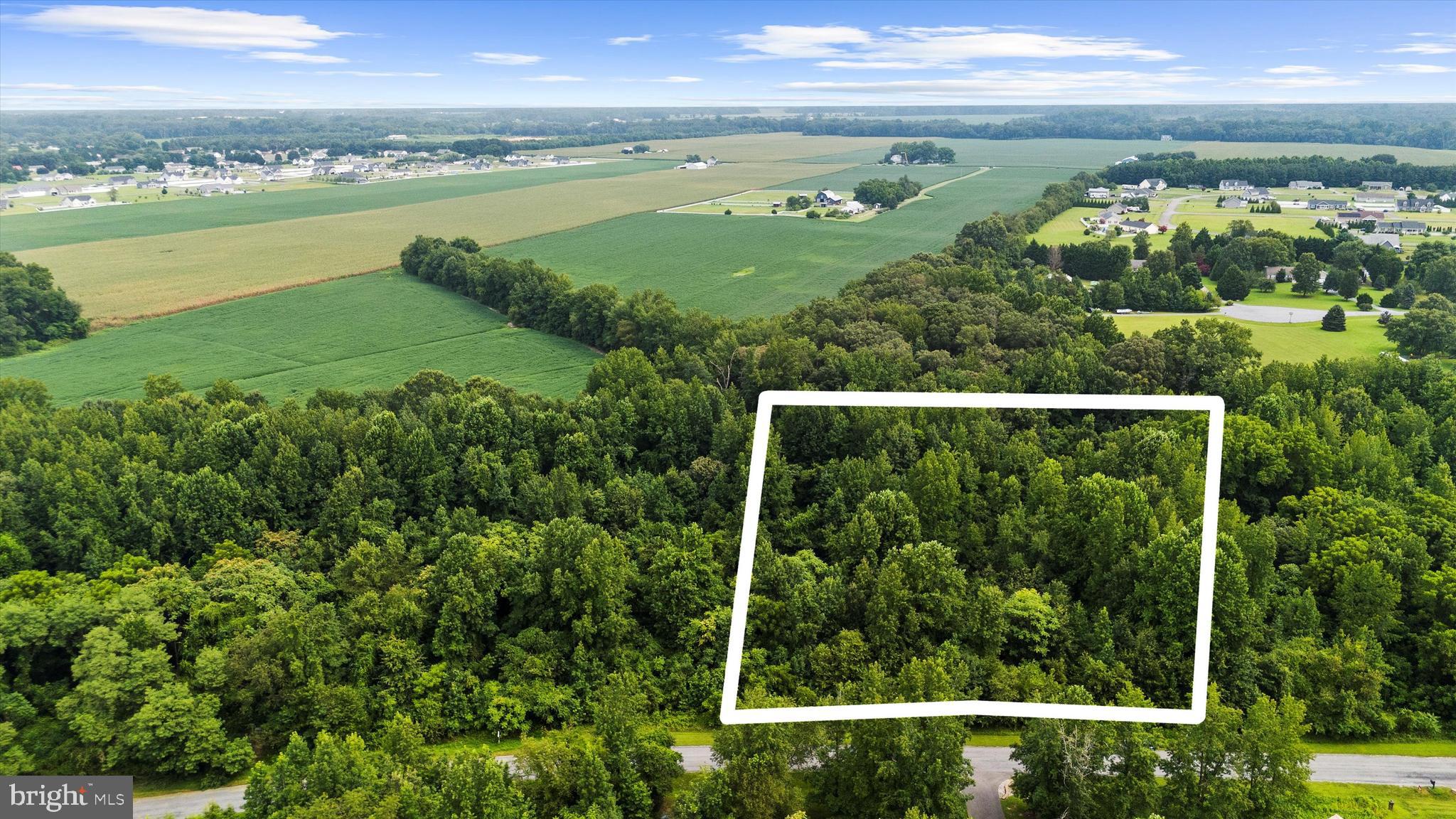Welcome to the Oasis neighborhood, a serene and picturesque enclave nestled in the charming town of Ridgely, MD. This prestigious 2.3-acre wooded lot on Burnt Mill Road presents a unique opportunity to craft your dream home amidst nature's splendor. With its perc approval, this lot is primed and ready for you to bring your architectural vision to life.

As you enter the Oasis, you're greeted by a striking grand entrance and a paved road that sets the tone for this distinguished community. Here, you have the freedom to design a private retreat that is perfectly tailored to your lifestyle, with no builder tie-in restrictions to limit your creativity. While the Oasis offers the freedom of no governing HOA, it does have Covenants and Restrictions to maintain the community's integrity.

Just minutes from Rt. 404 and the vibrant town of Denton, this location offers both tranquility and convenience. Discover the perfect blend of nature and accessibility, and make your dream home a reality in this smartly positioned and thoughtfully planned neighborhood.

Property lines estimated in photos