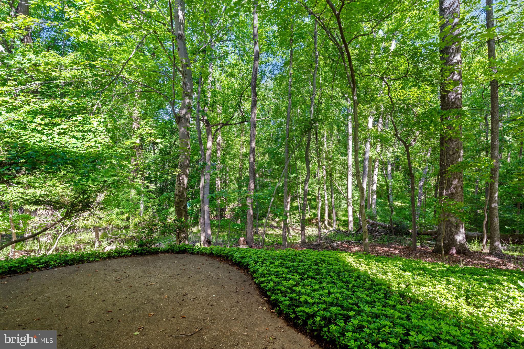 NORTH SPRINGBROOK - Residential