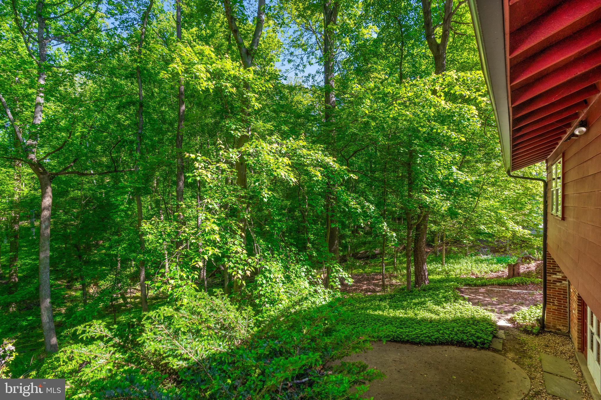 NORTH SPRINGBROOK - Residential