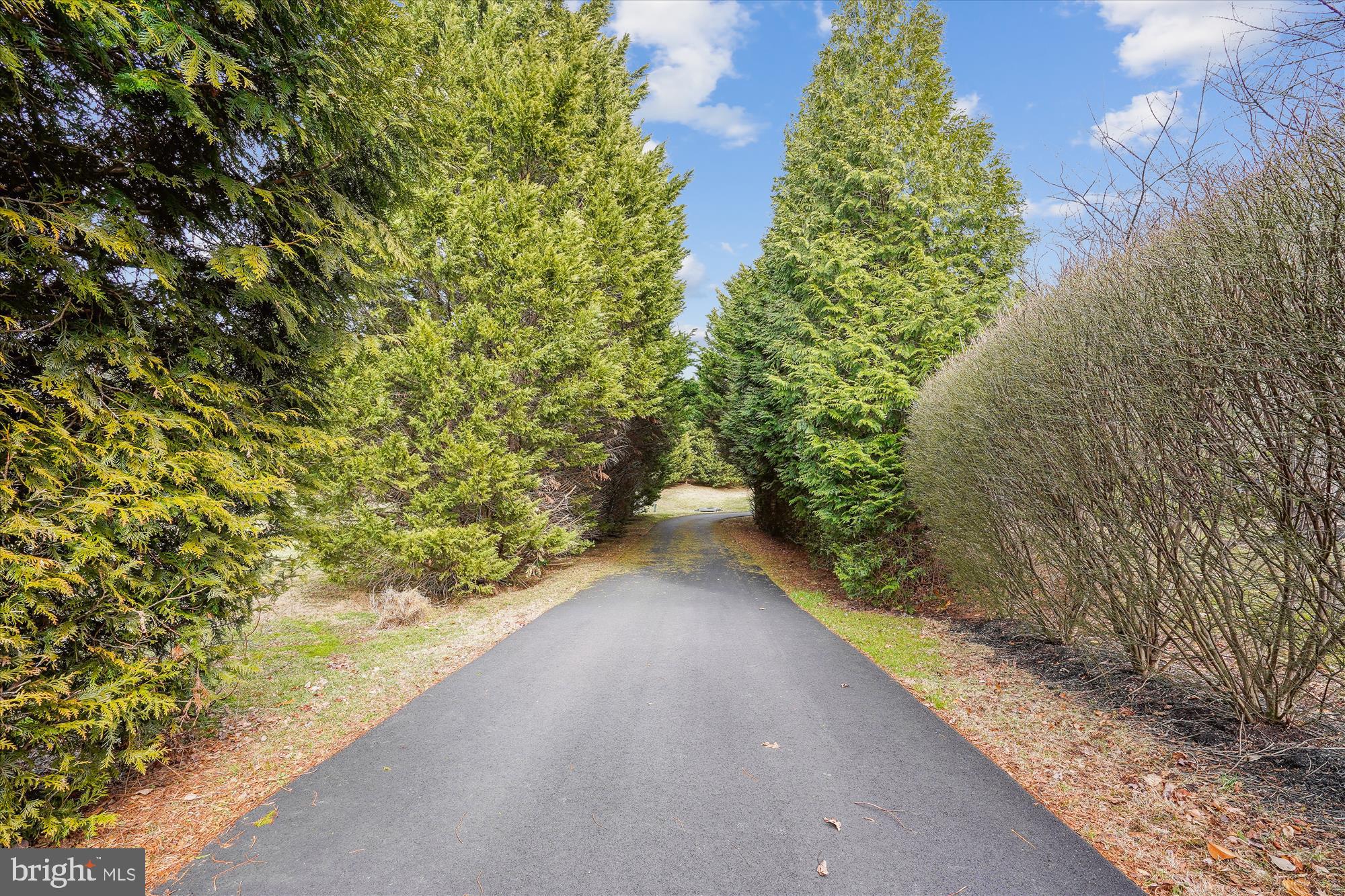 PINEY RUN MEADOW - Residential