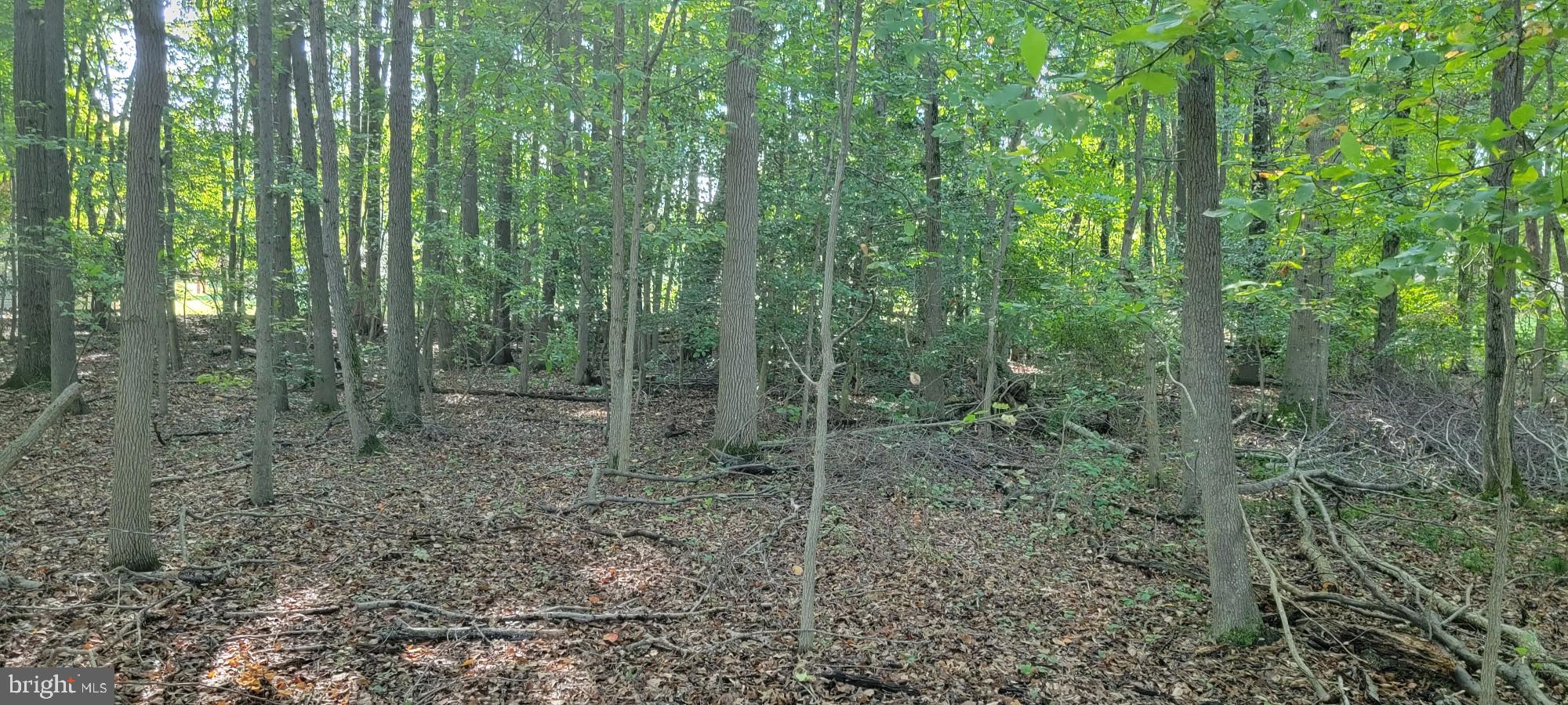 This lot appears to be buildable, but Buyers must confirm all connections are available. Owner has some paperwork from WSSC that states it will allow a sewer connection through Simmons Acres but I have not verified anything yet. WSSC does have a drain culvert on the very south end of the property which is why the sewer was made available to the lot (in exchange for).  Hopefully I'll have a street address soon.
Lot being sold AS-IS only.