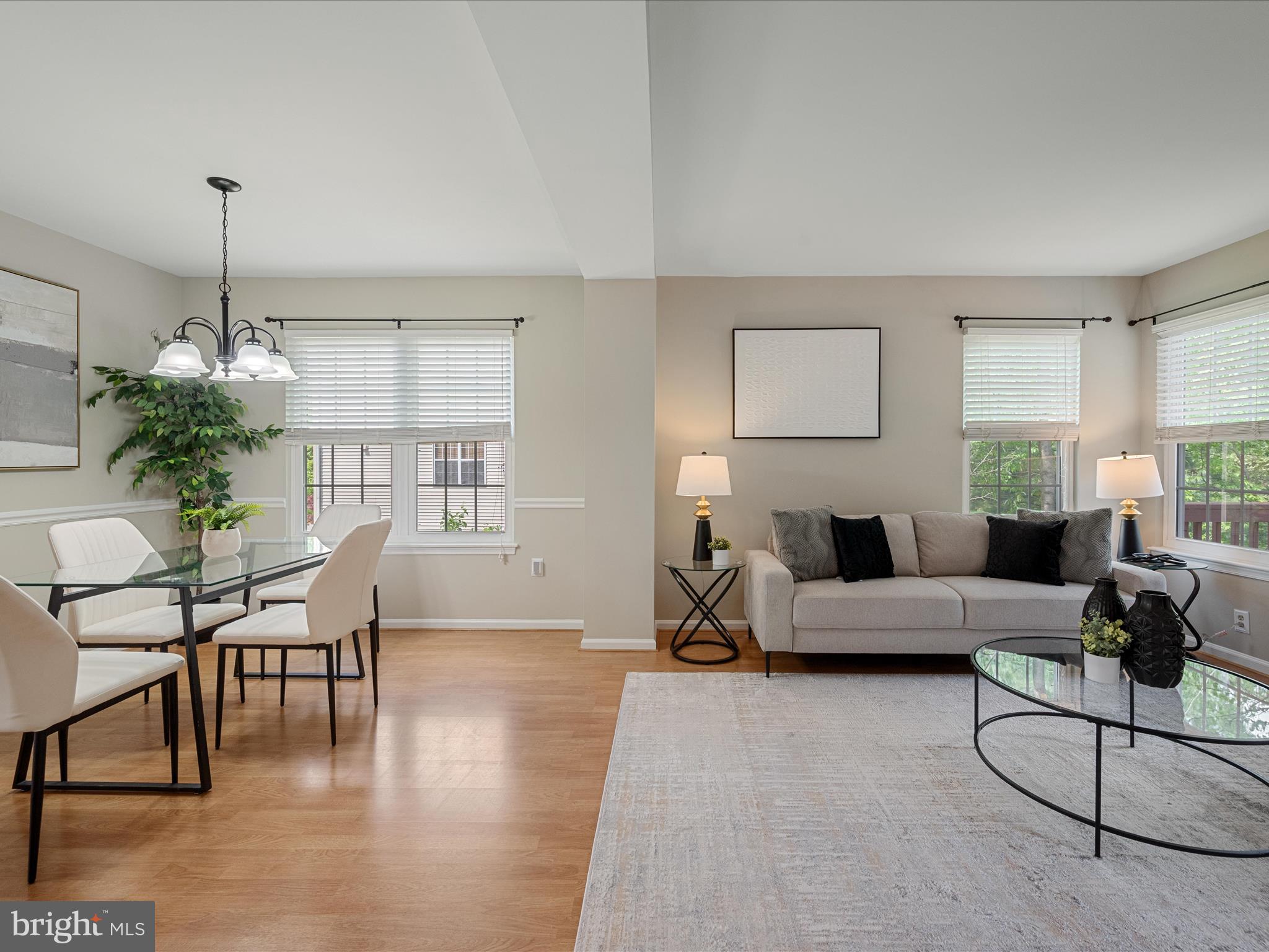 ASHBURN VILLAGE - Residential