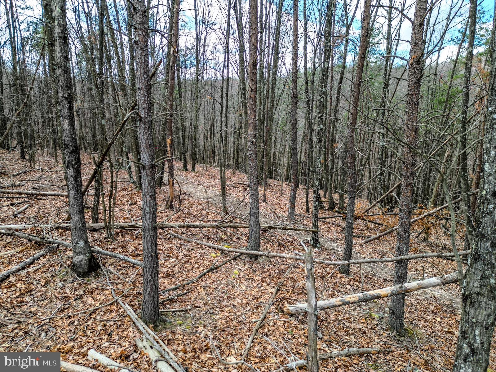ASHTON WOODS - Land