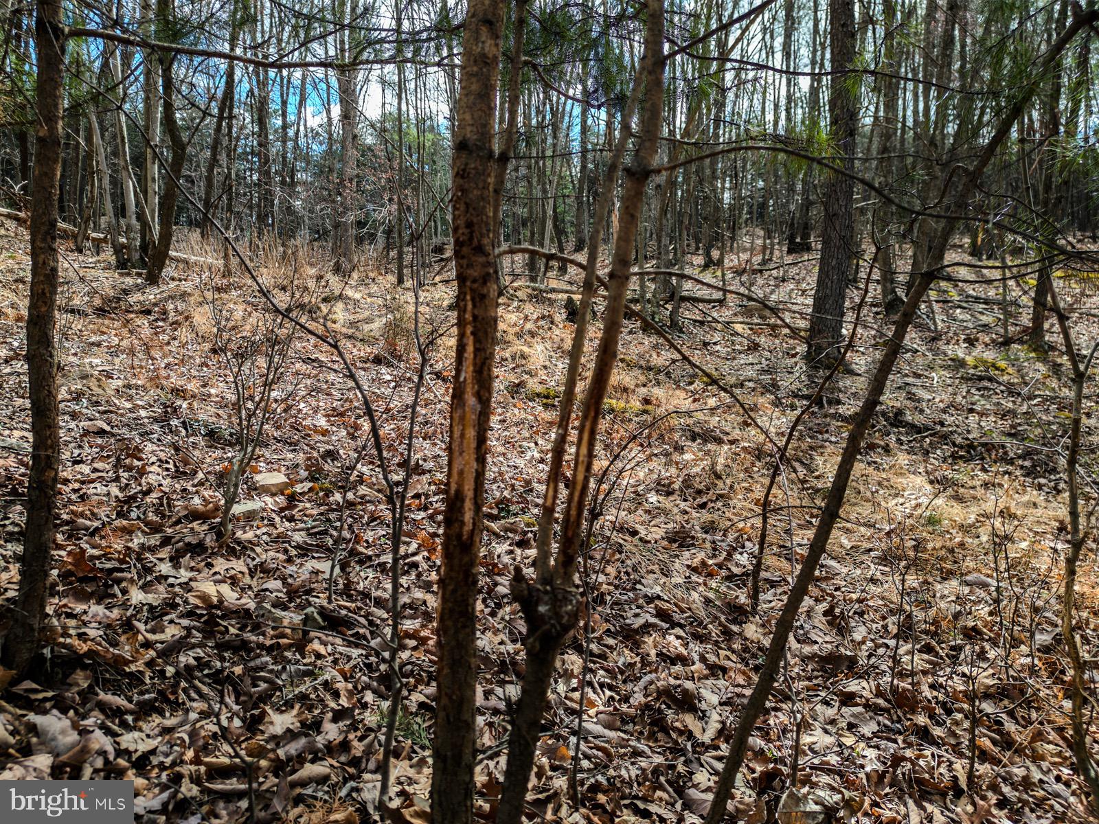 ASHTON WOODS - Land