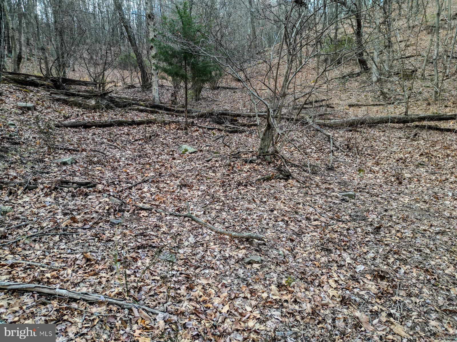 ASHTON WOODS - Land