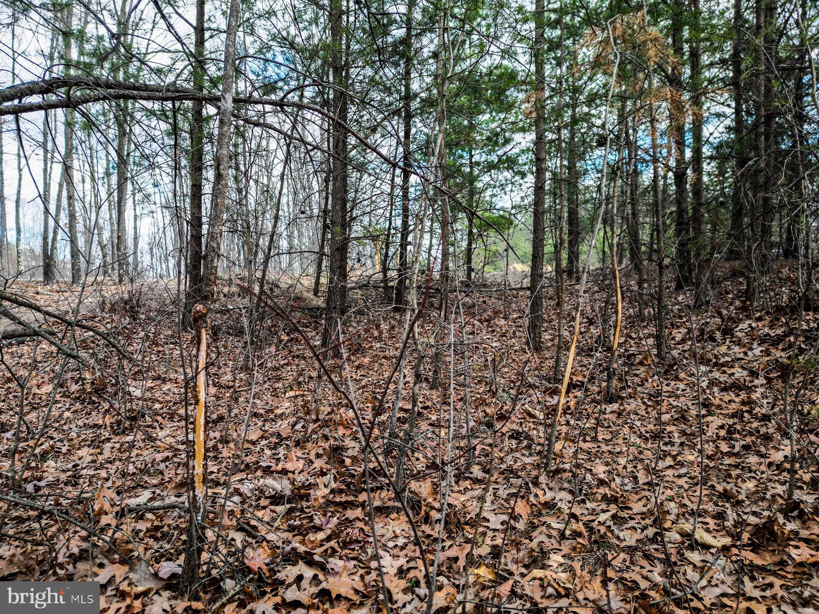 ASHTON WOODS - Land