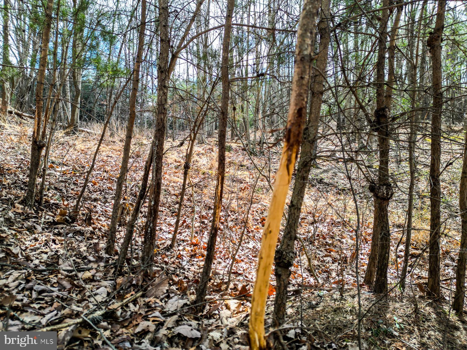ASHTON WOODS - Land