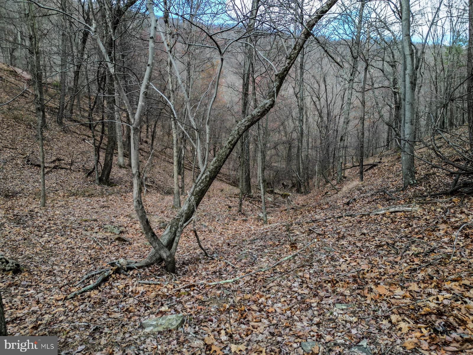 ASHTON WOODS - Land